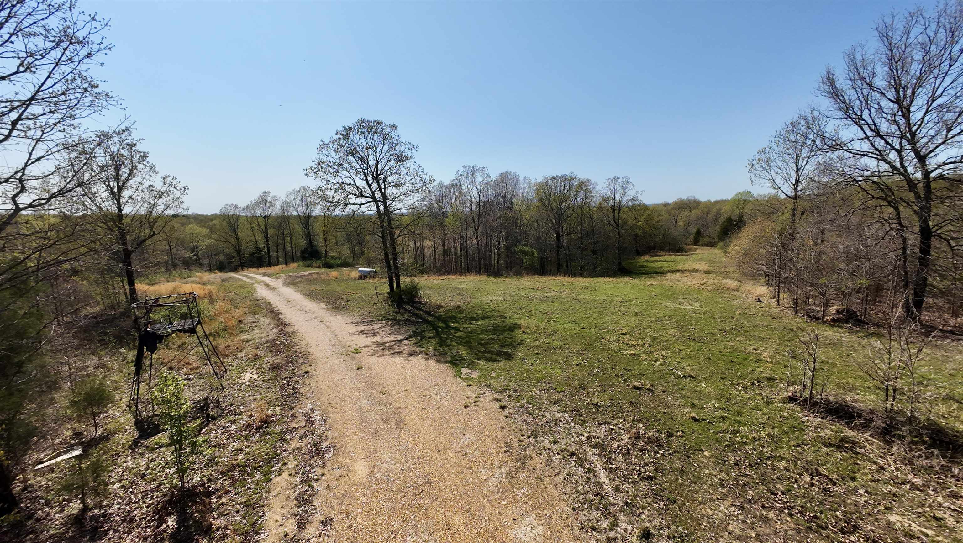 8546 County Road 333 Property Photo 10