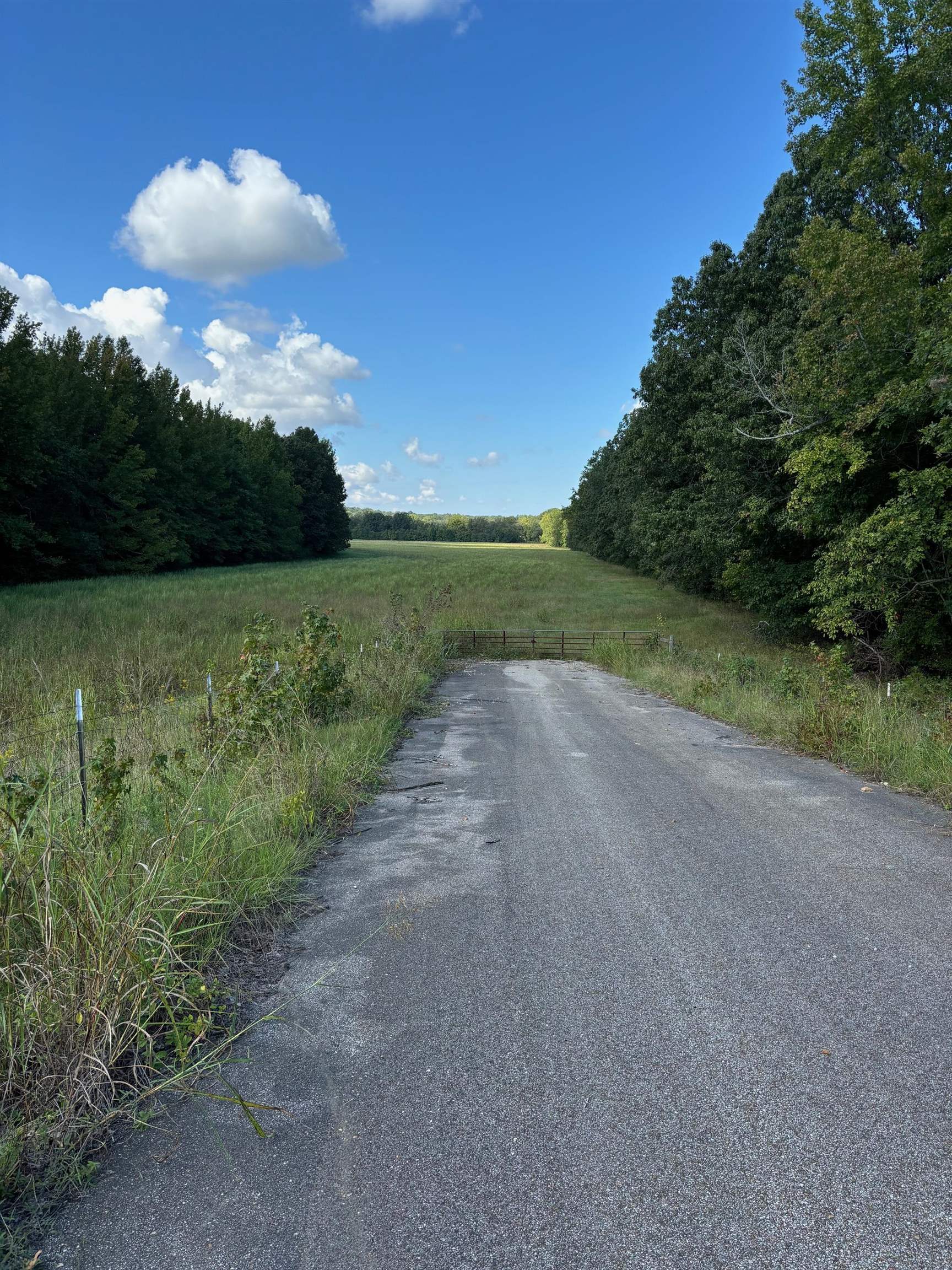 45.85 Acres Hwy 141 Property Photo 1