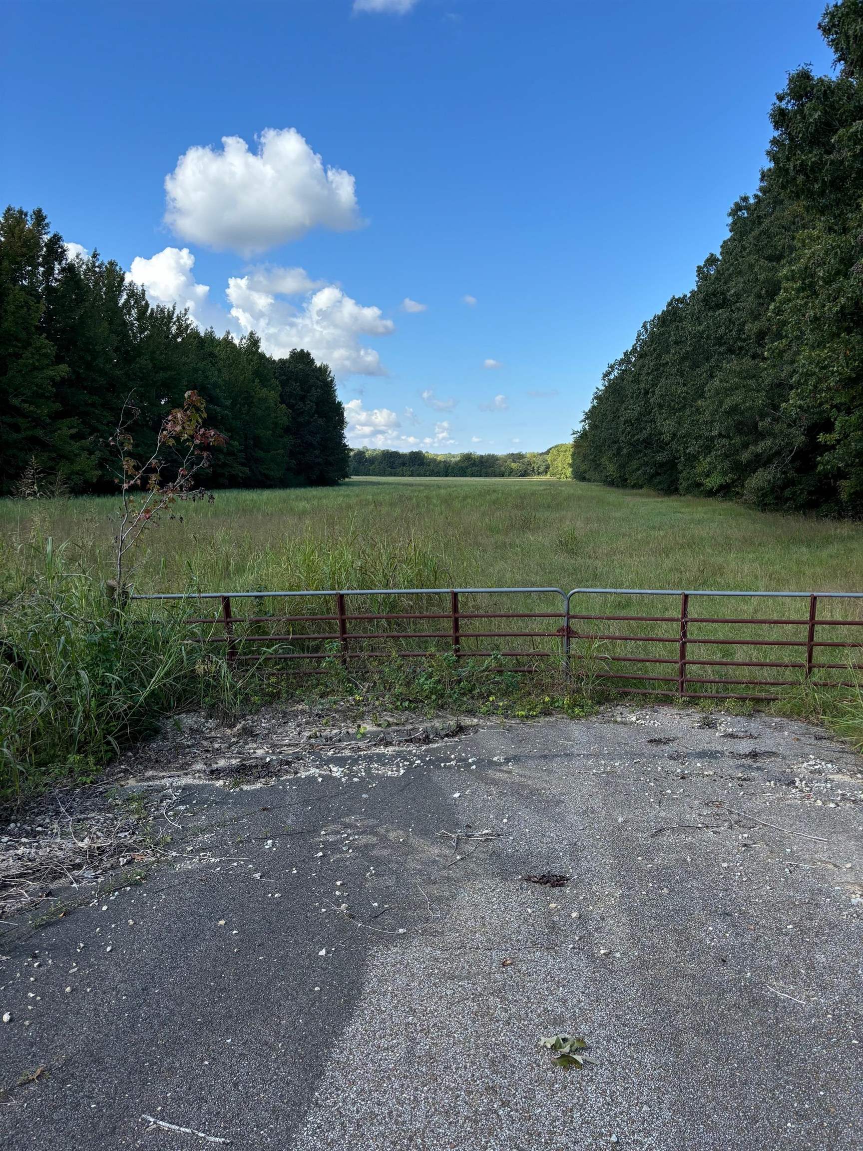 45.85 Acres Hwy 141 Property Photo 2