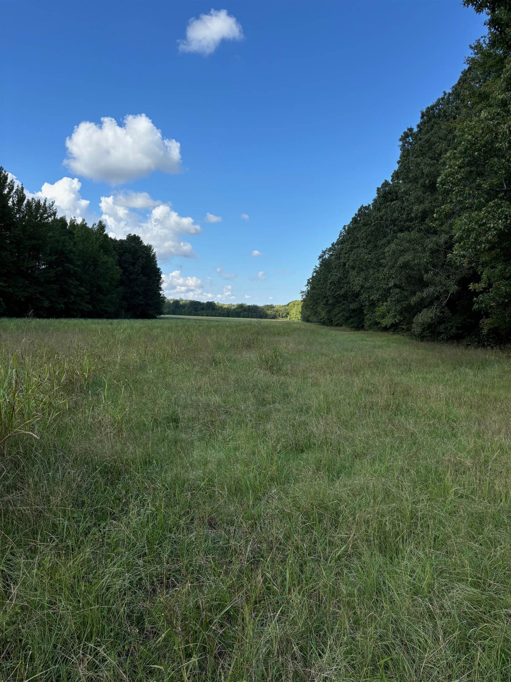 45.85 Acres Hwy 141 Property Photo 3