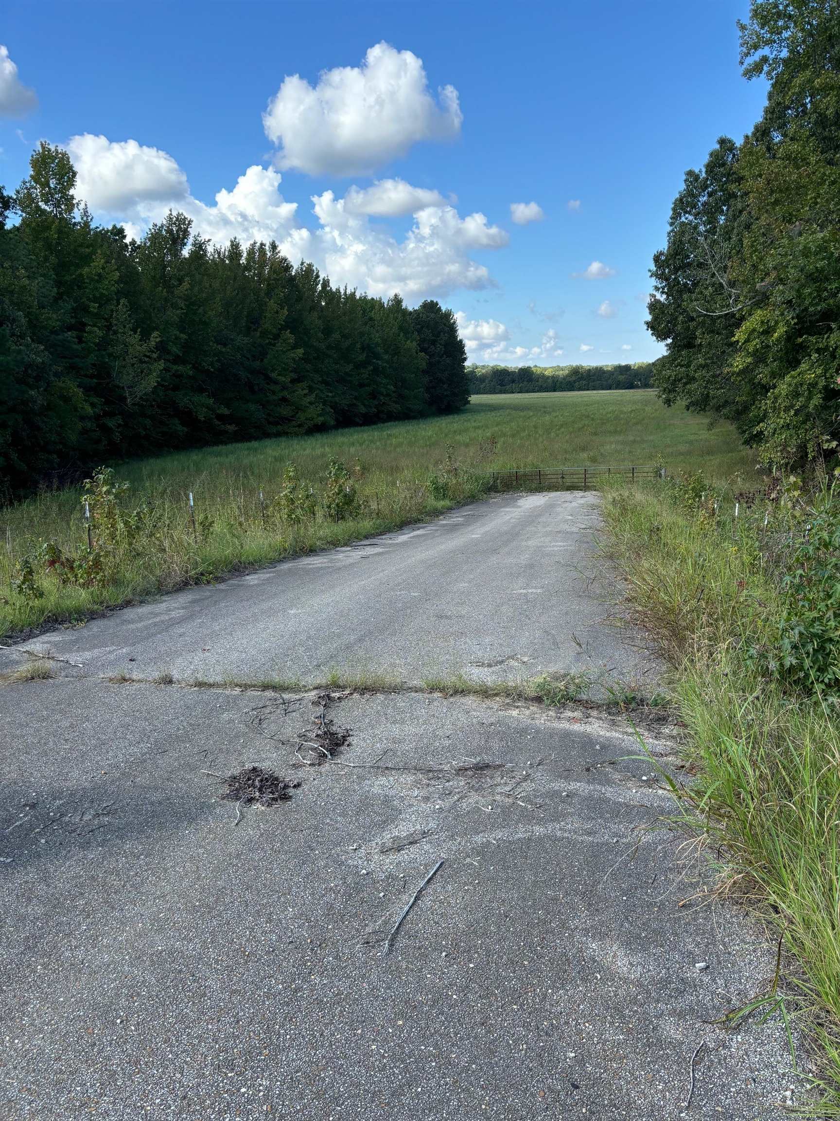 45.85 Acres Hwy 141 Property Photo 4