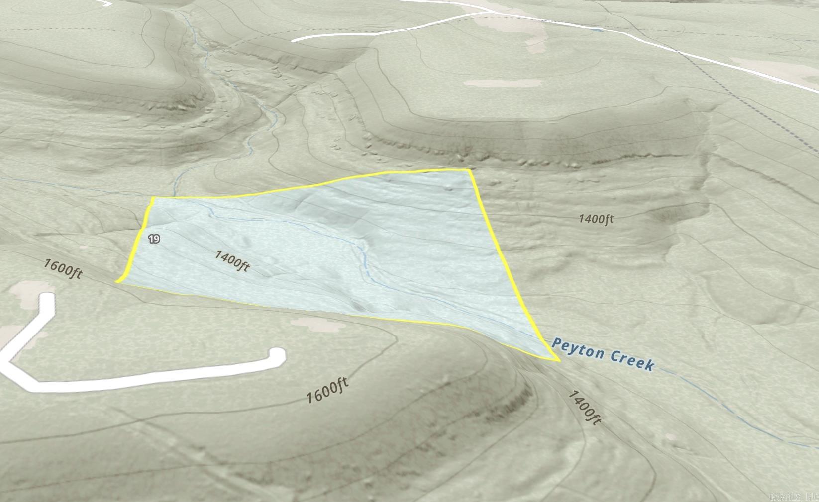 40 Acres Peyton Mountain Road Property Photo 2