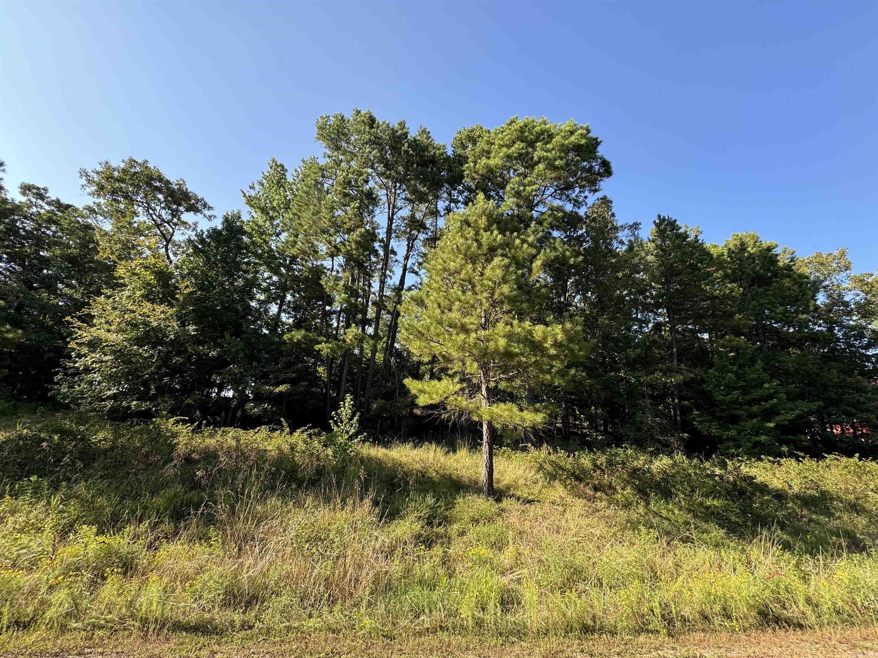 Lot 18 Primrose Creek Property Photo 3