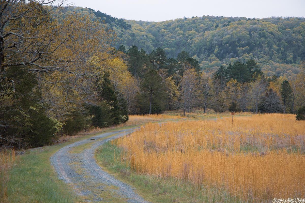 Lot 18 Primrose Creek Property Photo 7