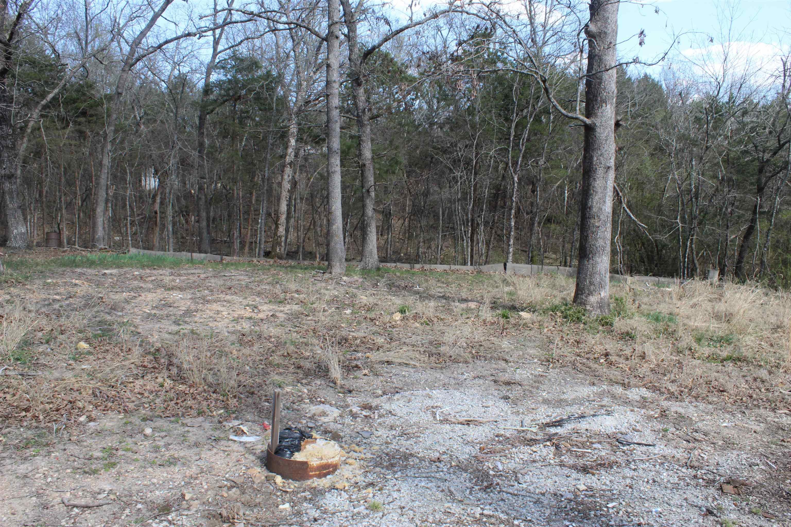 137 Lilly Lane Property Photo 5