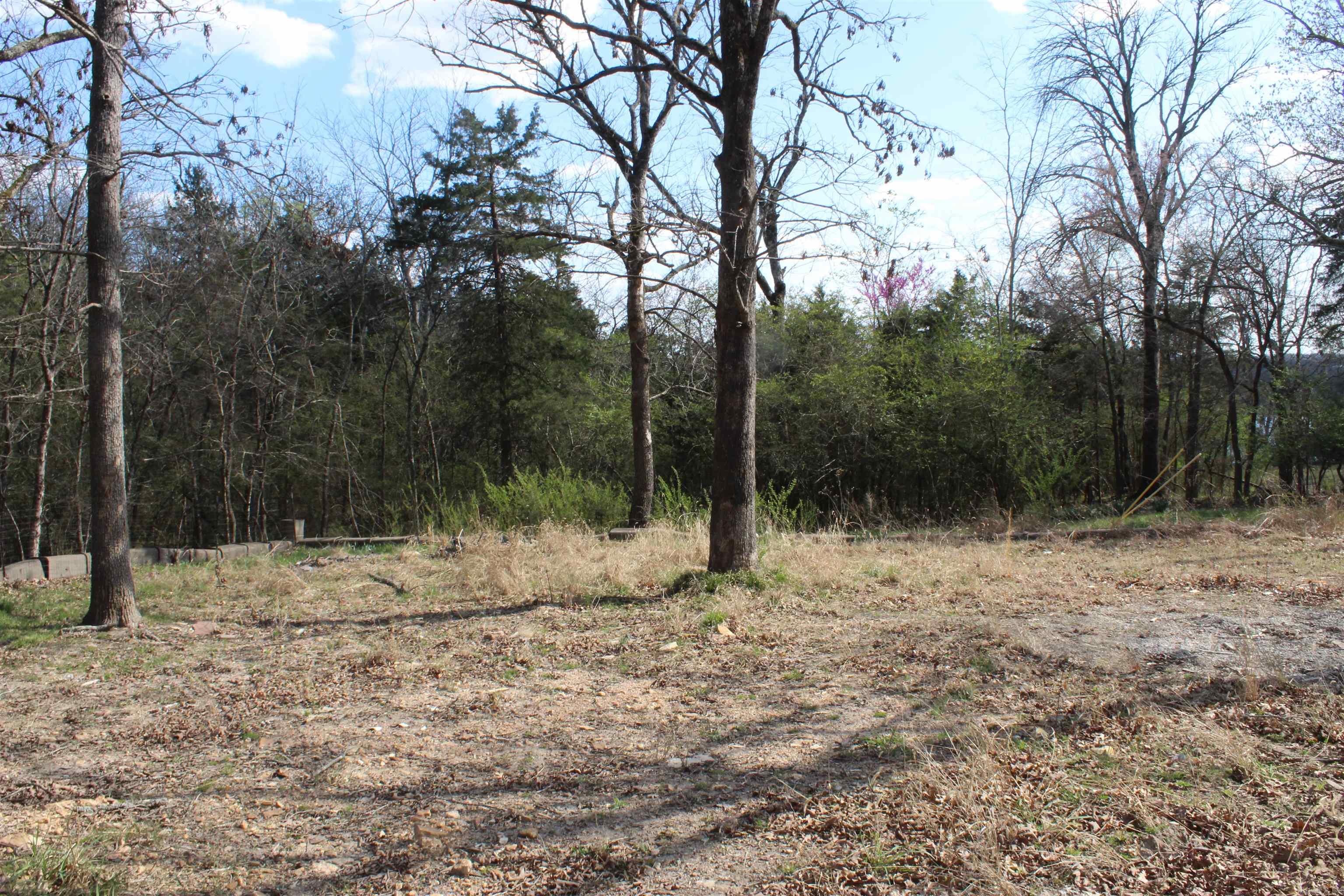 137 Lilly Lane Property Photo 6