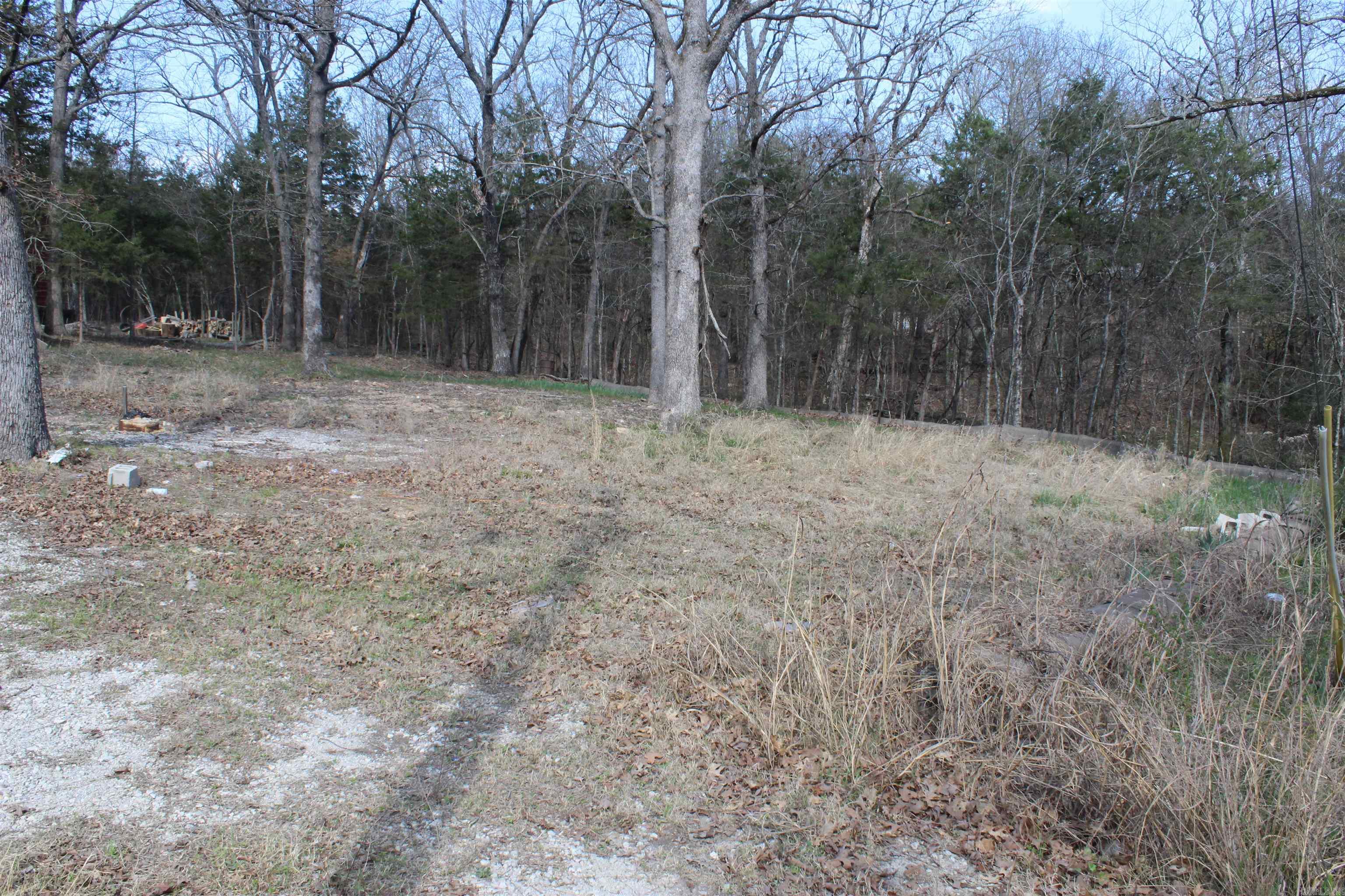 137 Lilly Lane Property Photo 8