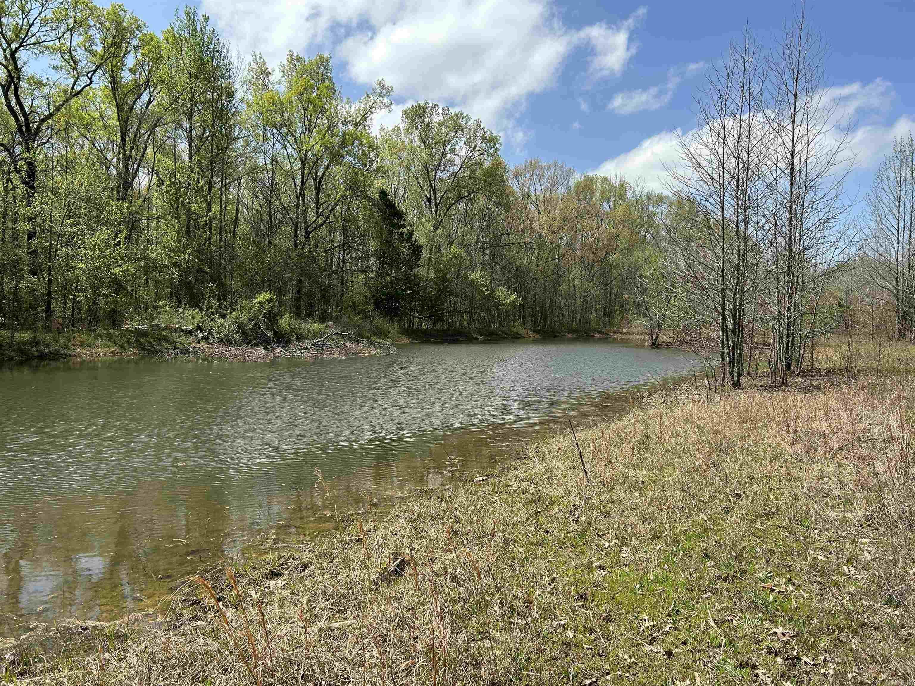53 Center Point Loop Loop Property Photo 1