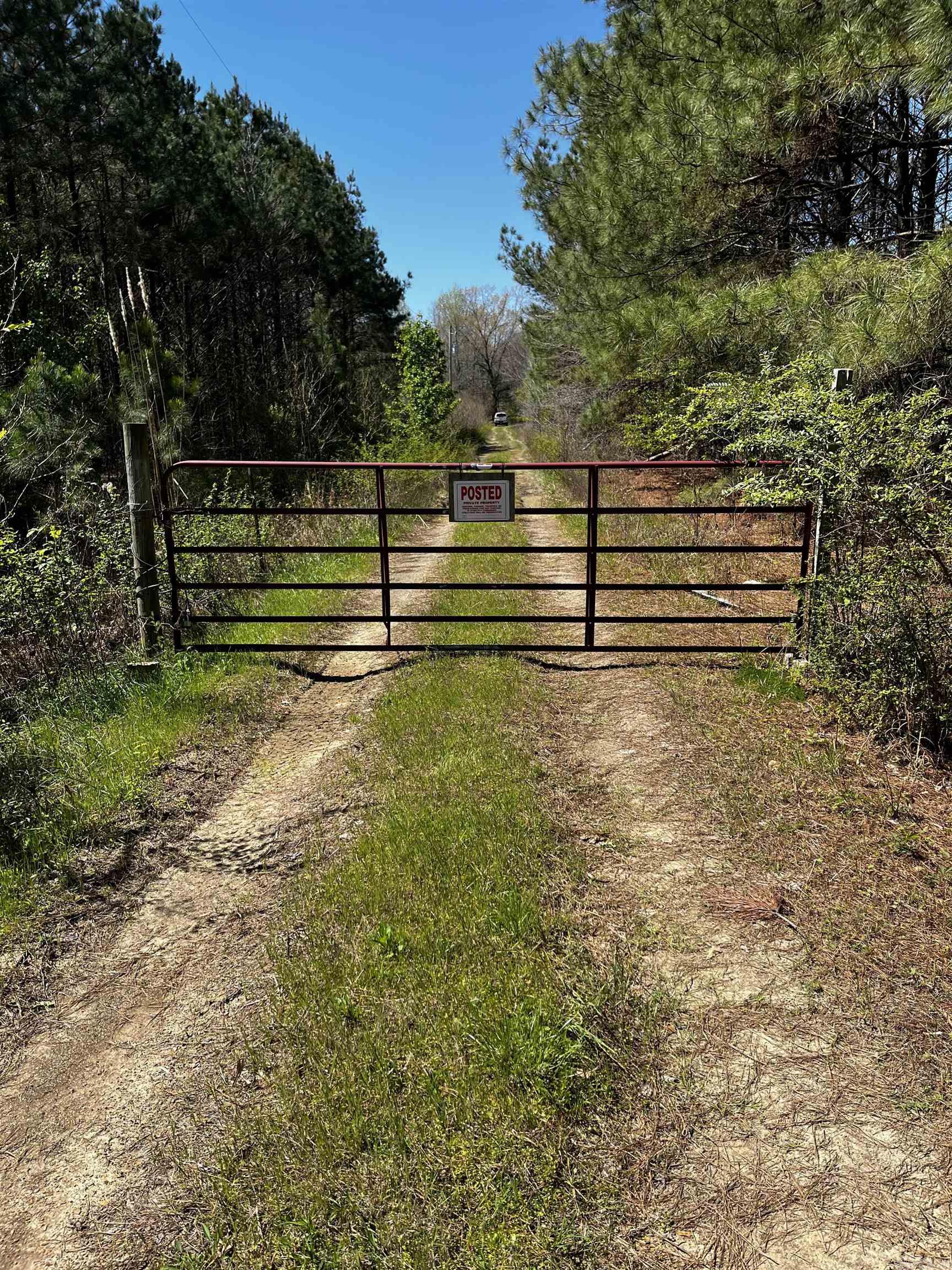 53 Center Point Loop Loop Property Photo 3