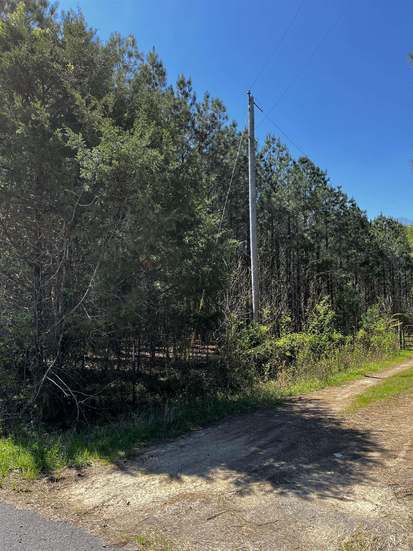 53 Center Point Loop Loop Property Photo 6