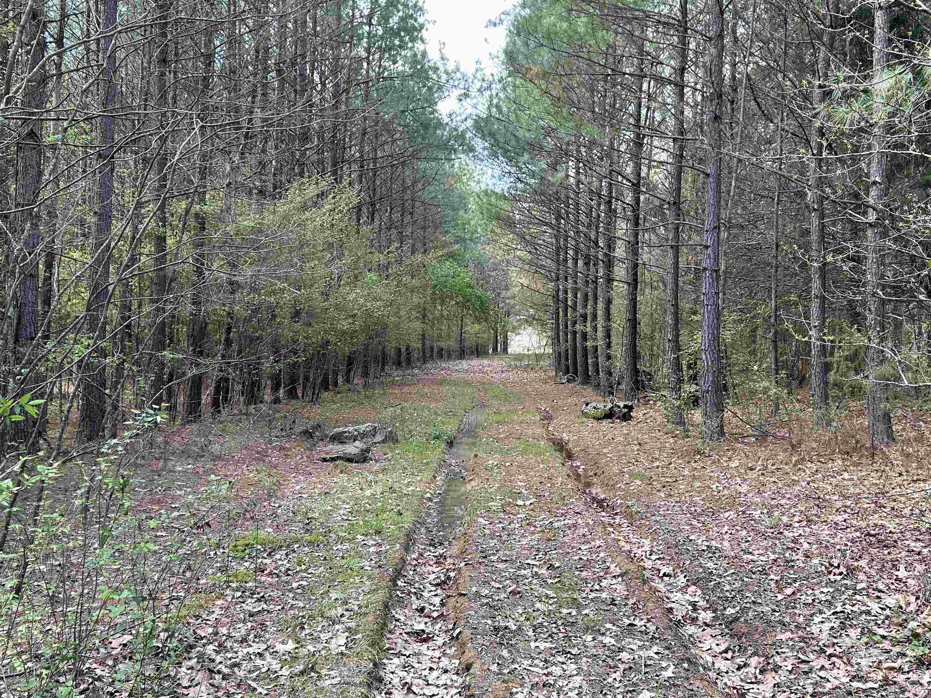 53 Center Point Loop Loop Property Photo 7
