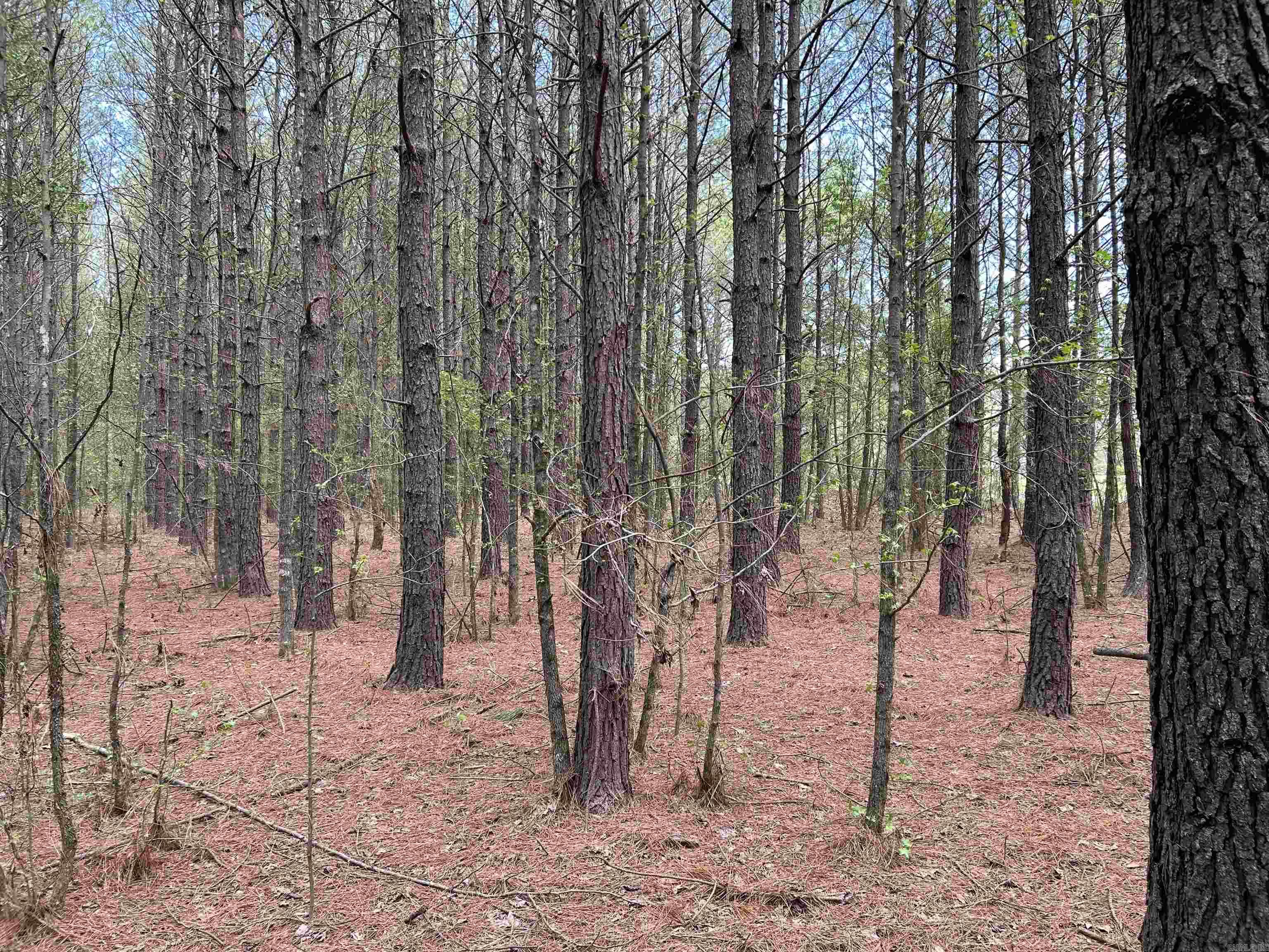 53 Center Point Loop Loop Property Photo 8