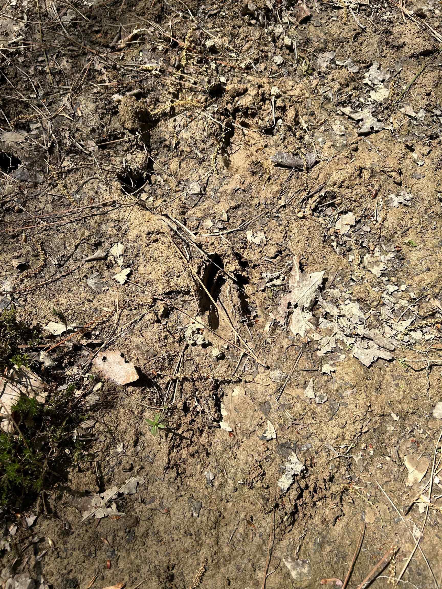 53 Center Point Loop Loop Property Photo 9