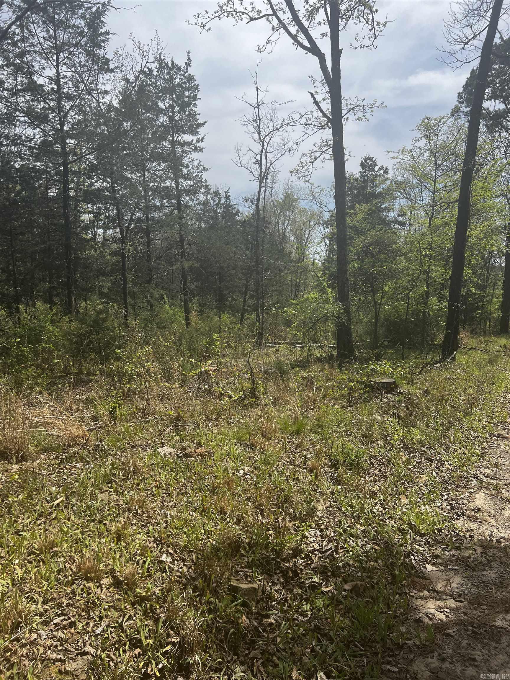 3681 County Road Property Photo 2