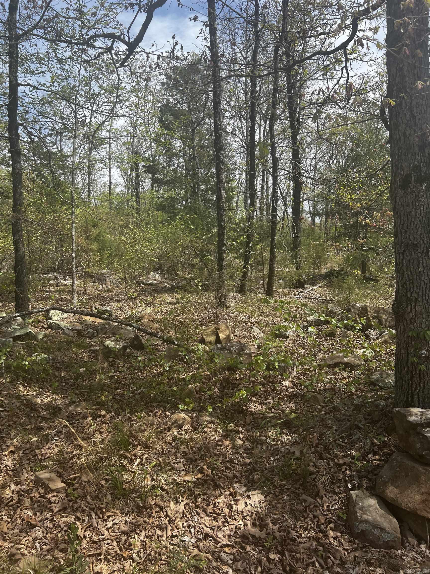 3681 County Road Property Photo 3