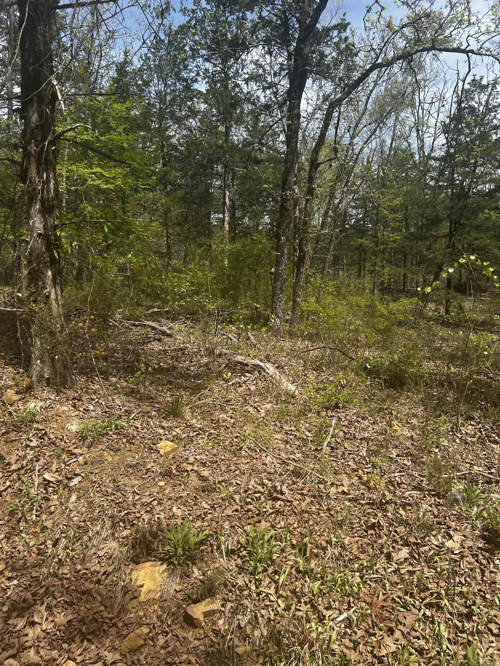 3681 County Road Property Photo 4