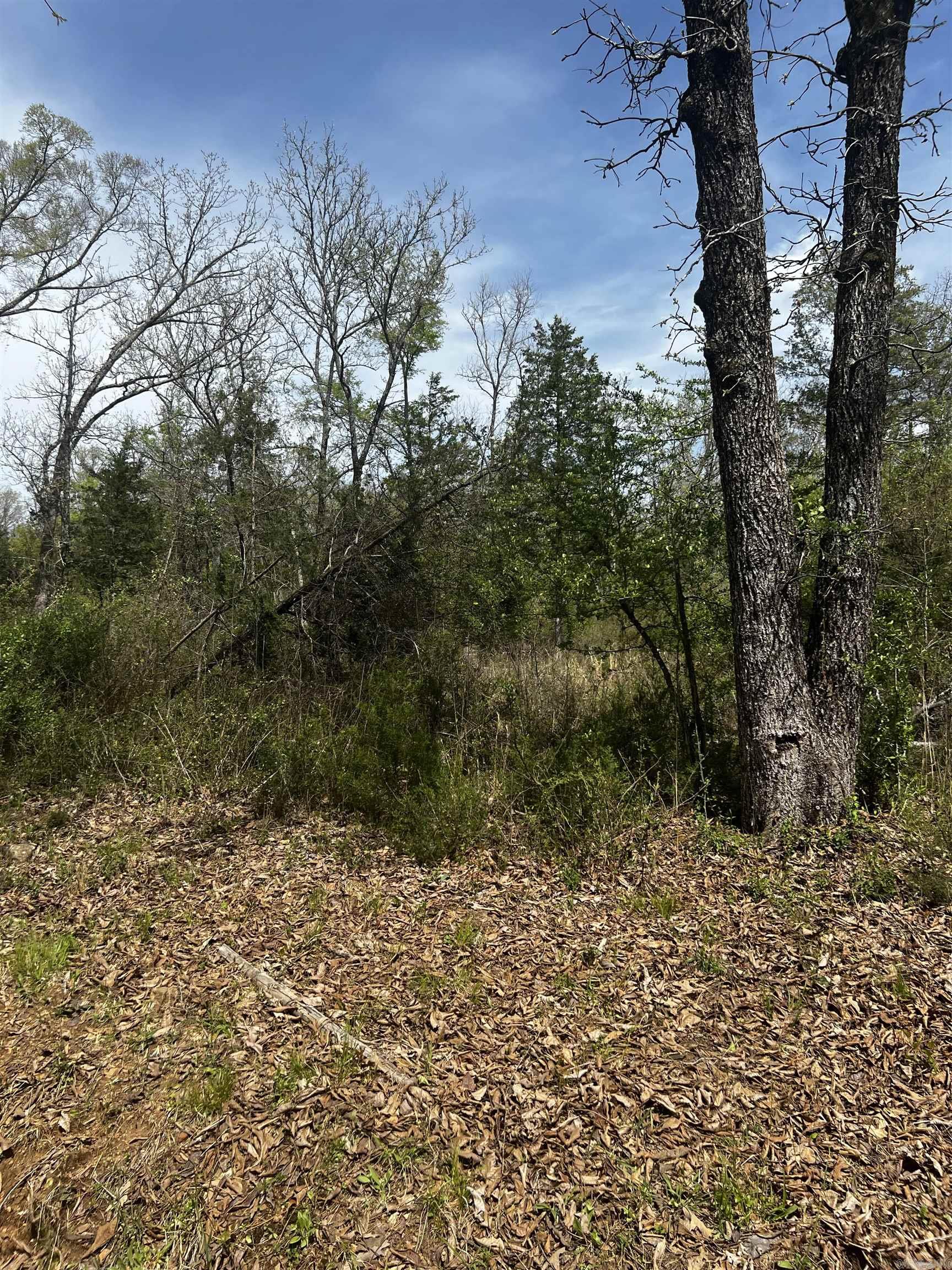 3681 County Road Property Photo 5
