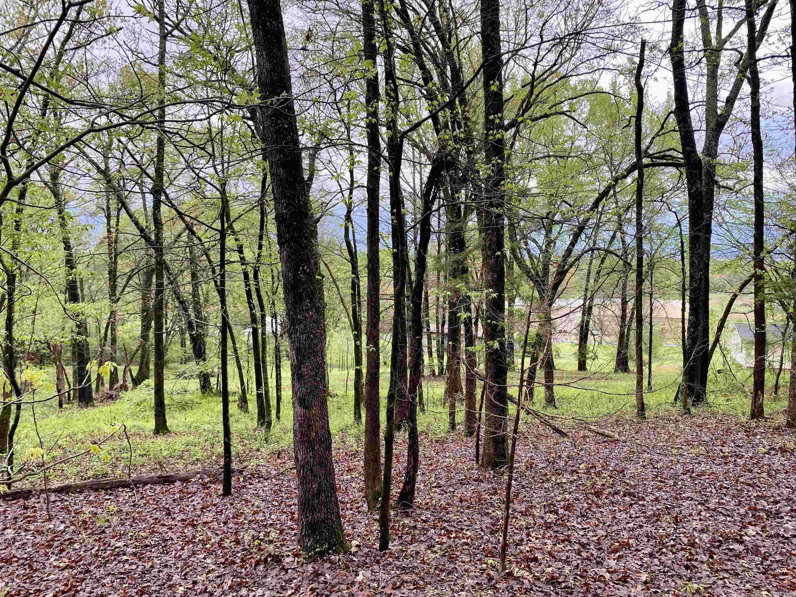 1582 County Road 2305 Property Photo 17