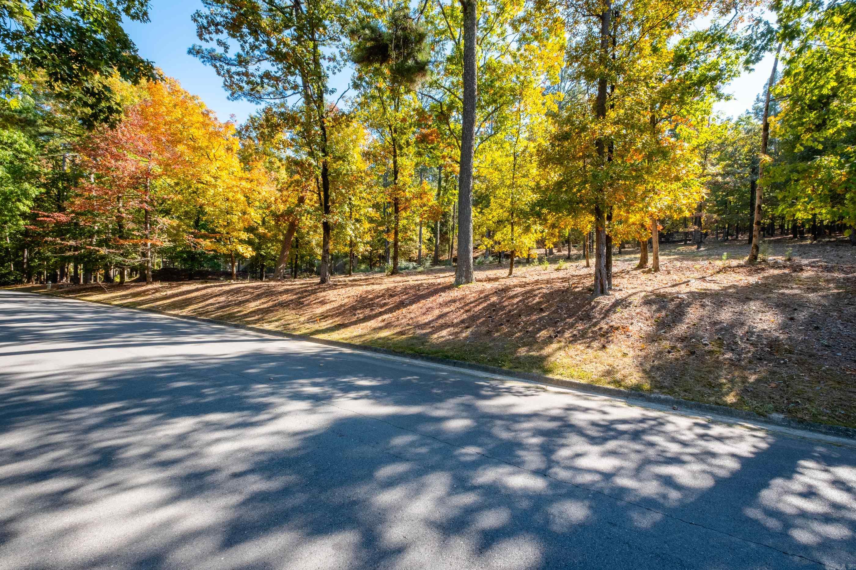42 Hickory Hills Circle Property Photo 2