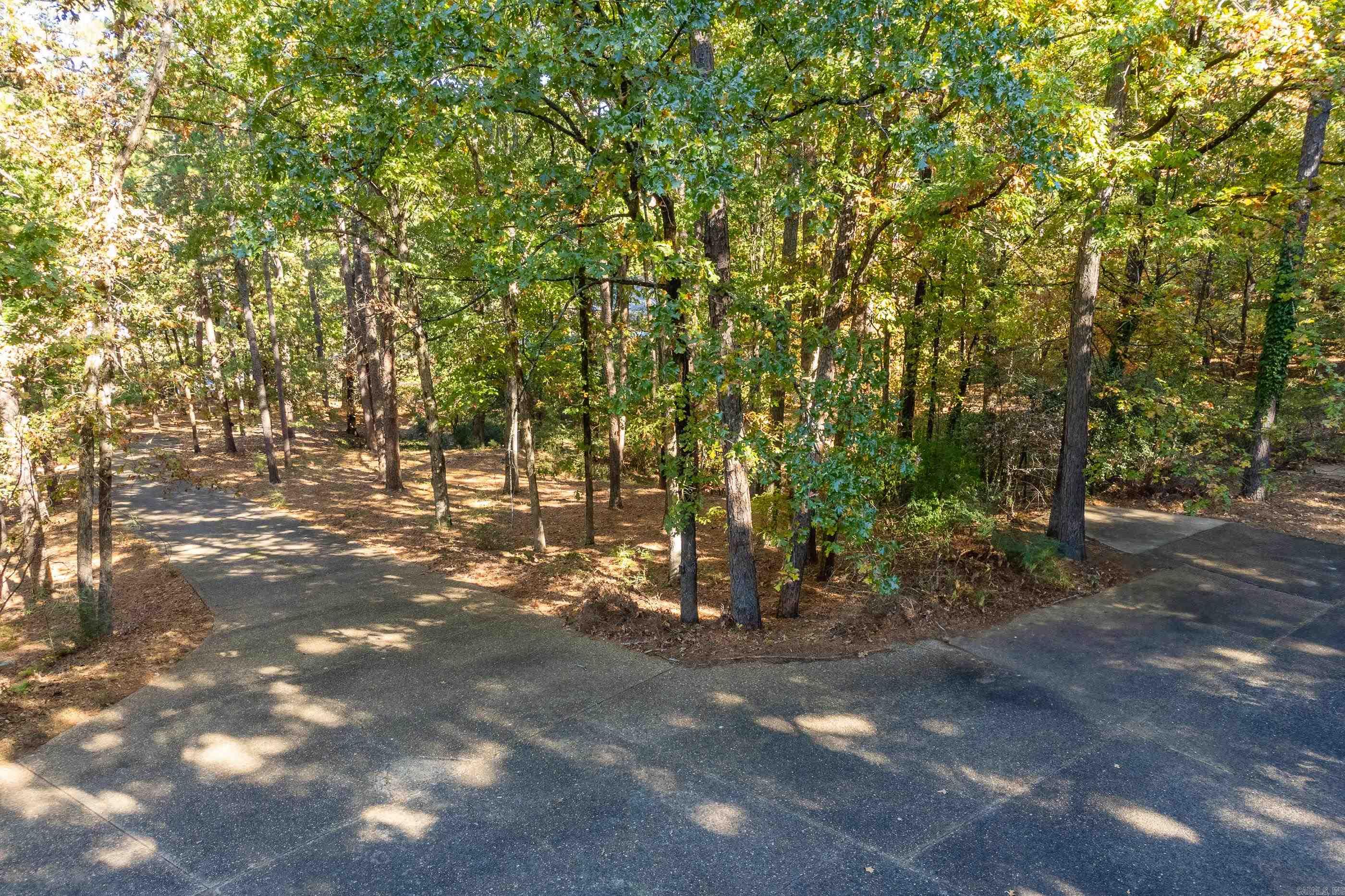 42 Hickory Hills Circle Property Photo 3