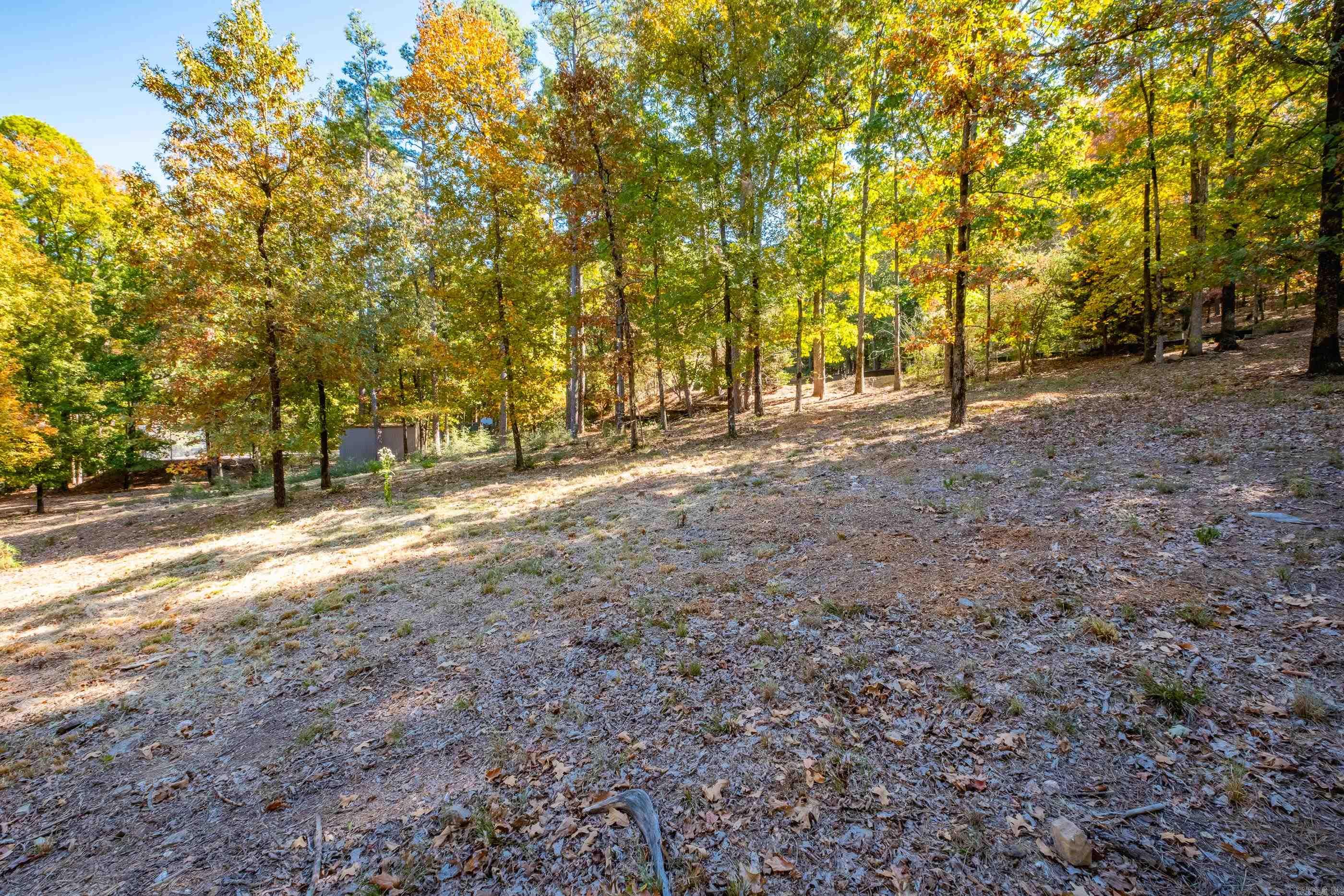 42 Hickory Hills Circle Property Photo 10