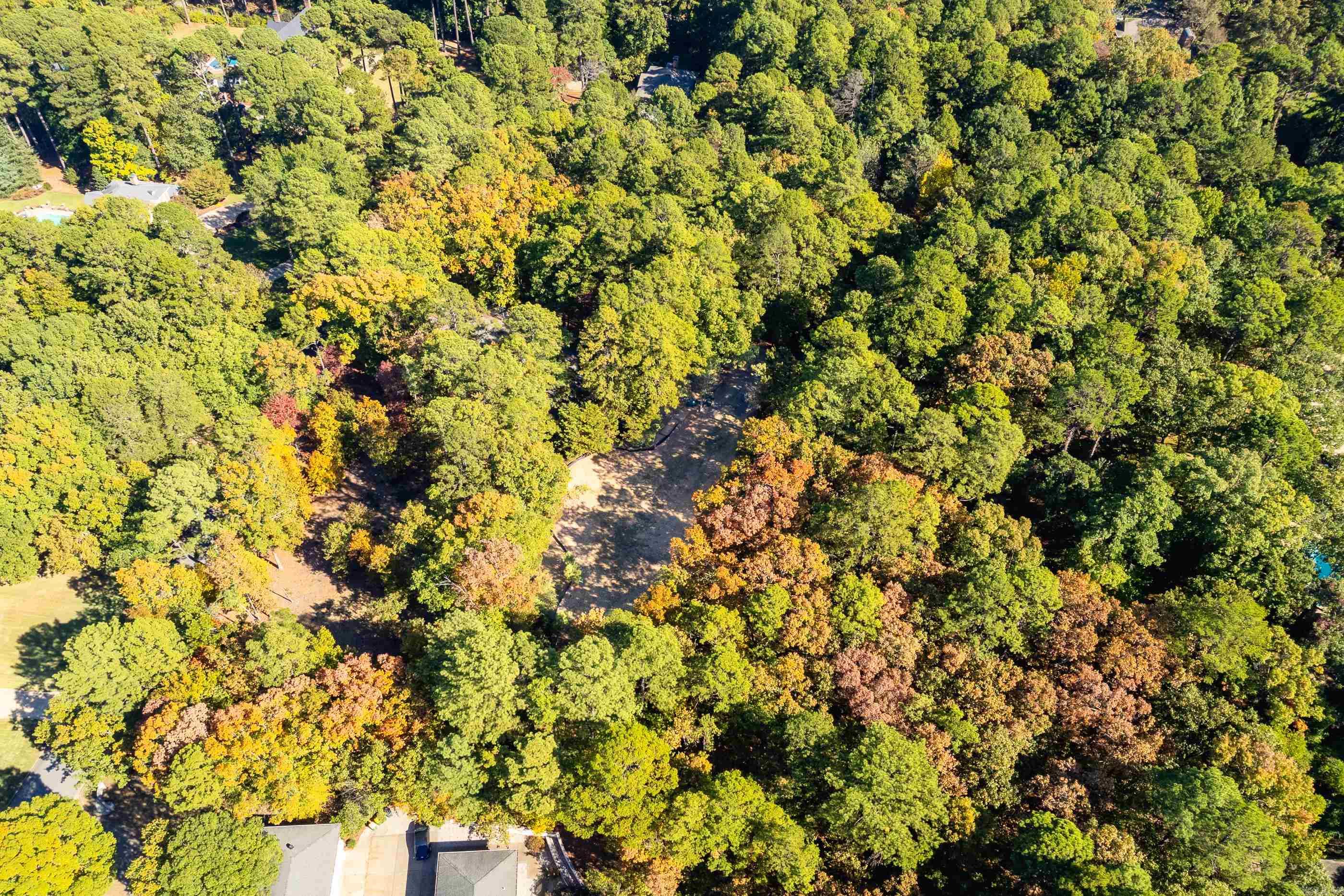 42 Hickory Hills Circle Property Photo 22