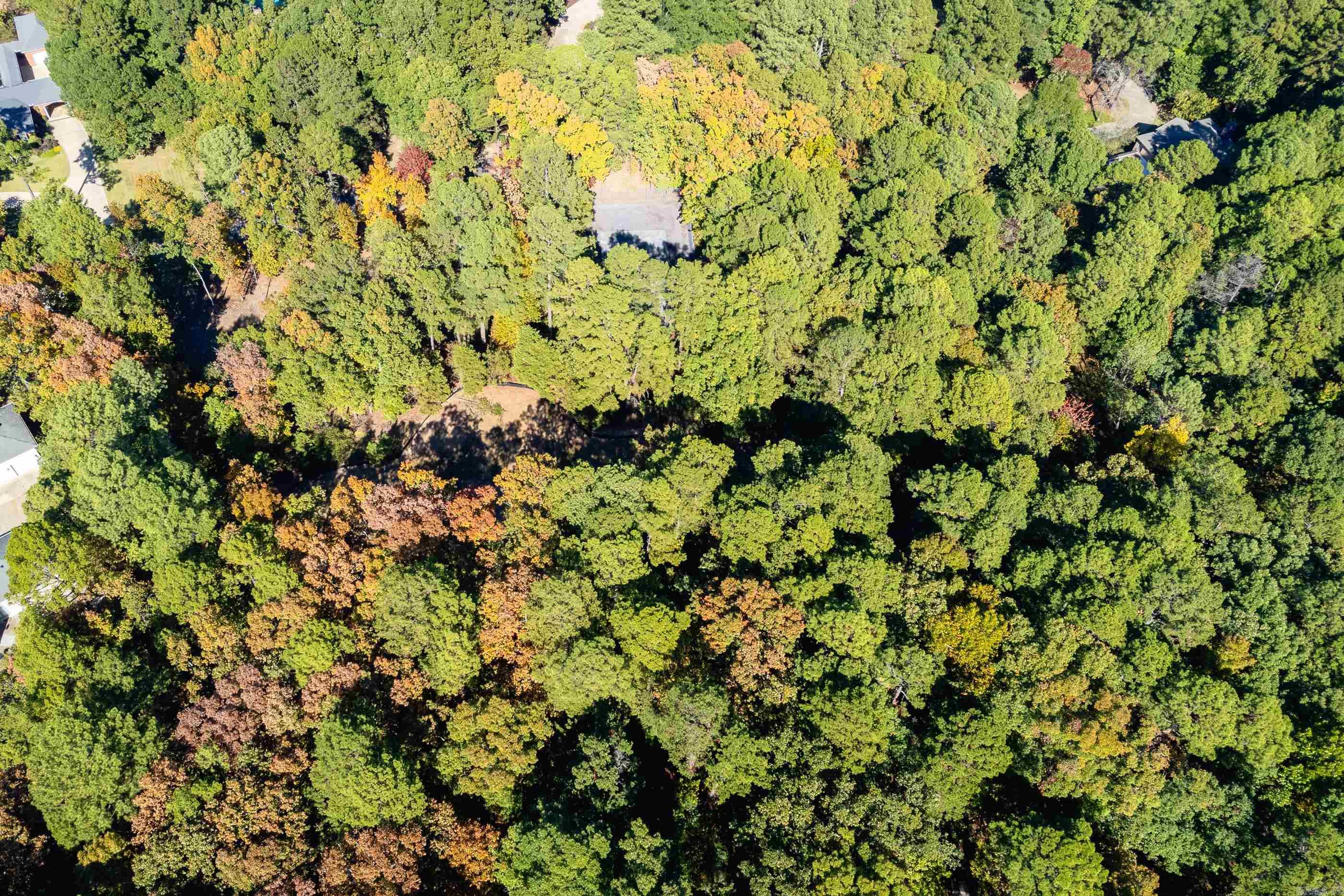 42 Hickory Hills Circle Property Photo 23