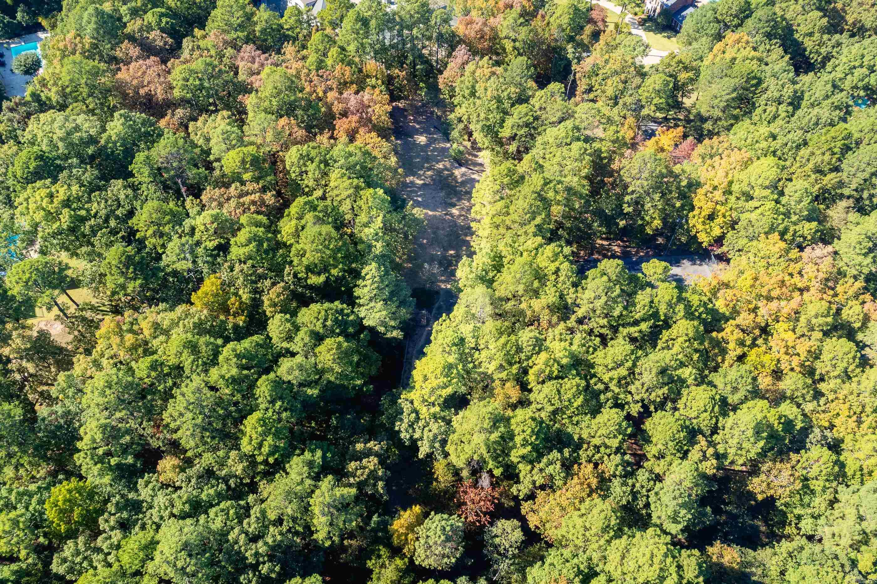 42 Hickory Hills Circle Property Photo 24