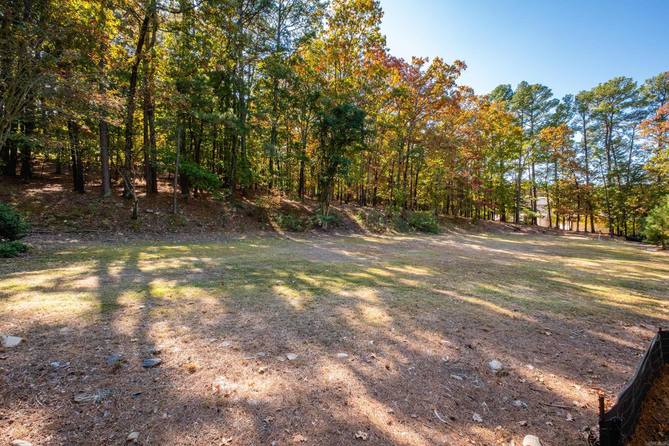 42 Hickory Hills Circle Property Photo 31