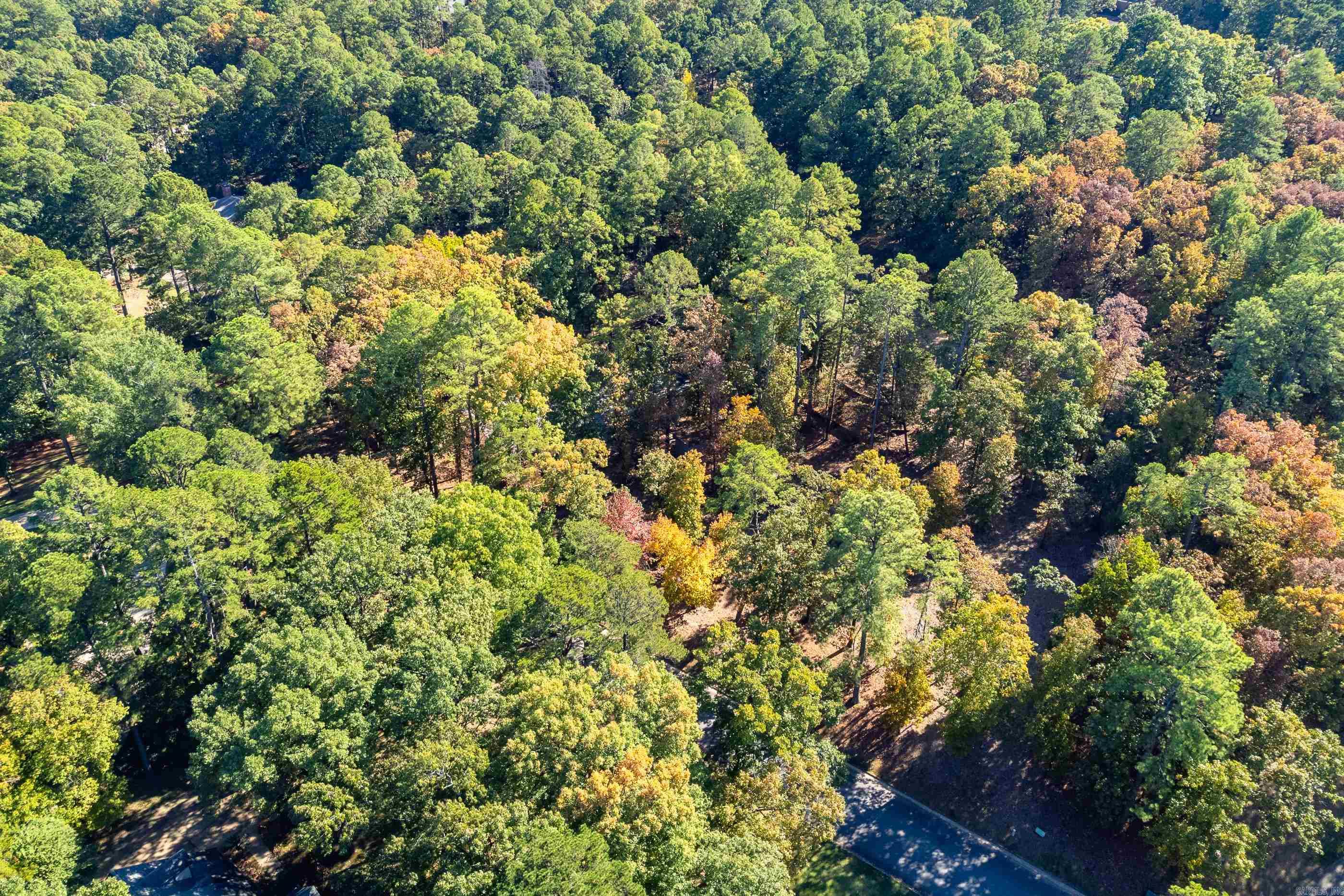 Lot 43 Hickory Hills Circle Property Photo 10