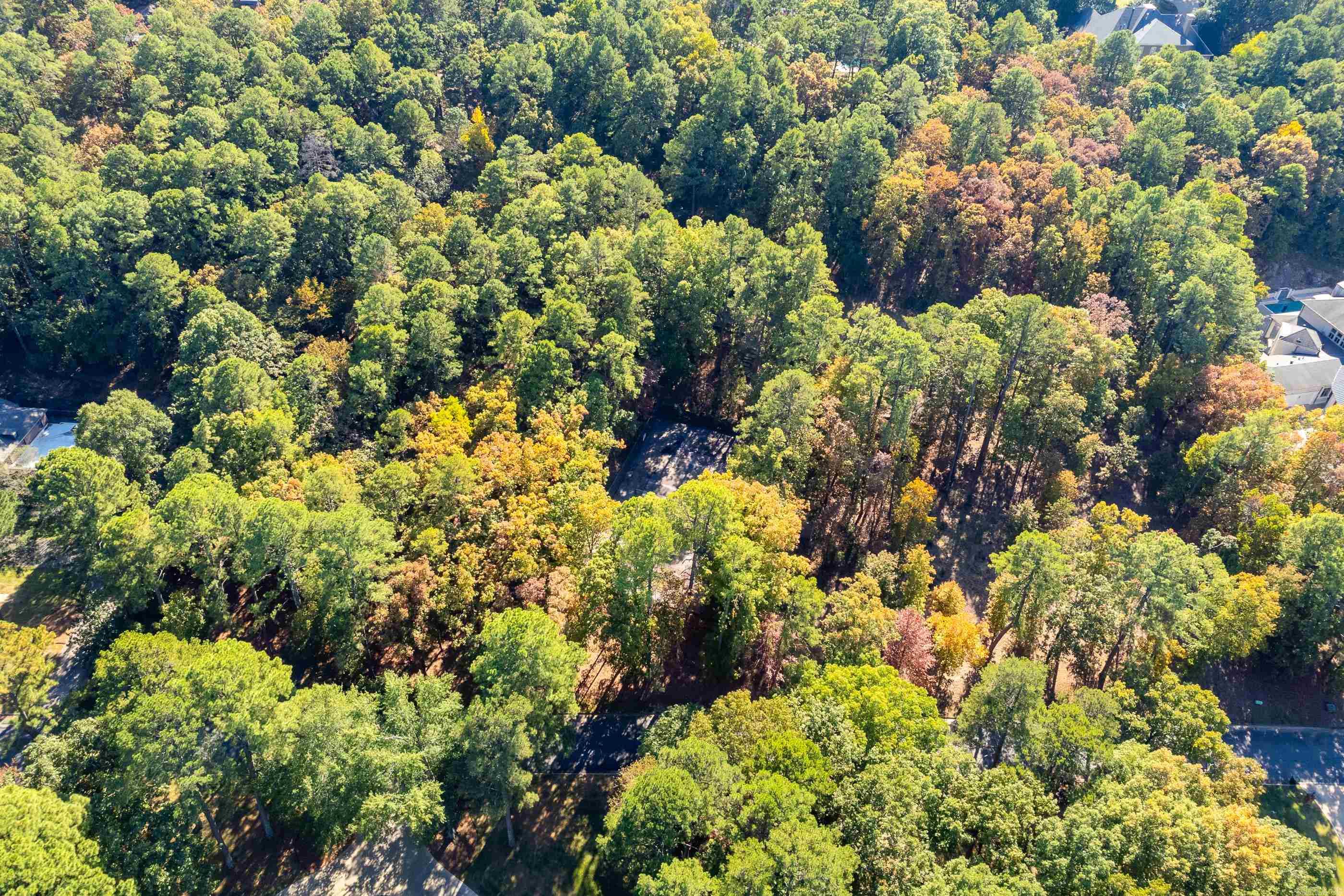 Lot 43 Hickory Hills Circle Property Photo 12