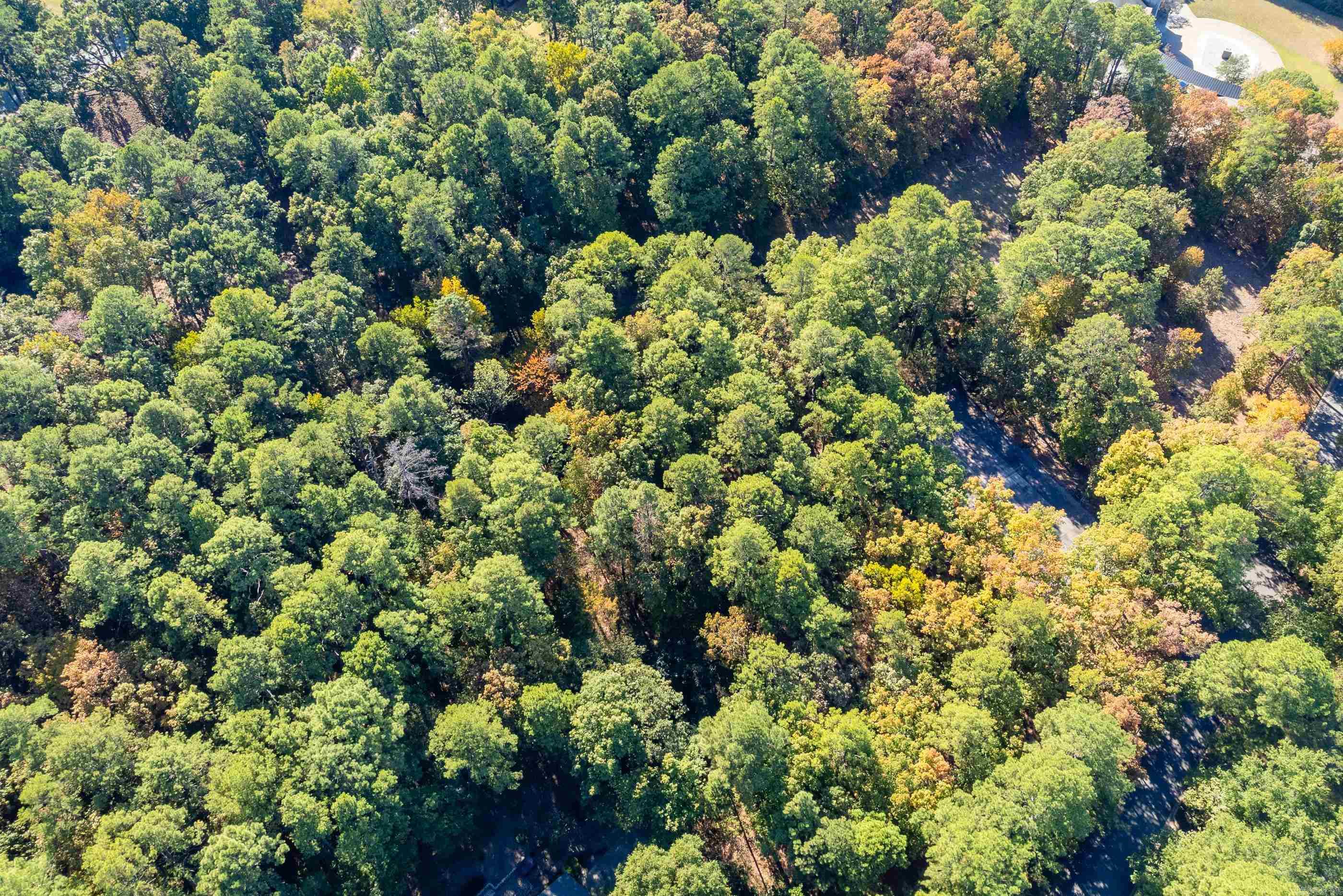 Lot 43 Hickory Hills Circle Property Photo 21
