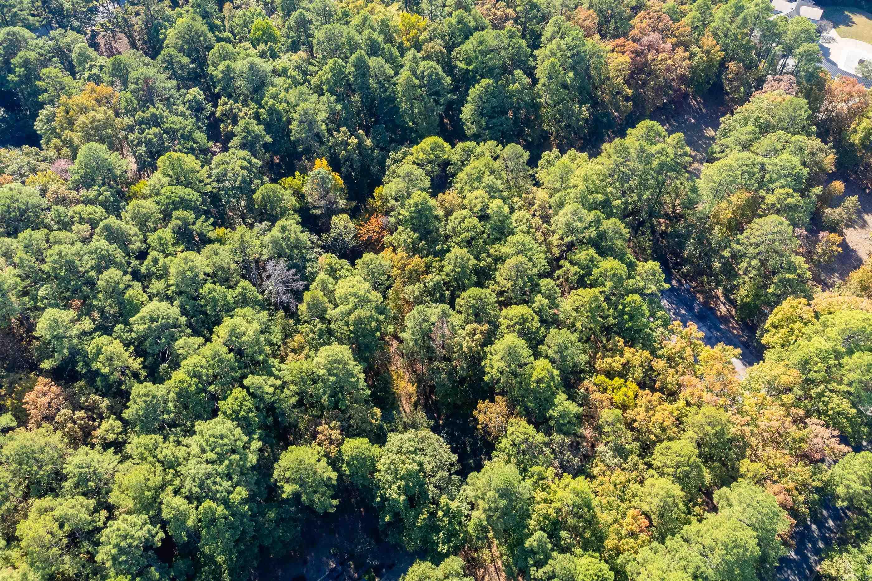 Lot 43 Hickory Hills Circle Property Photo 22
