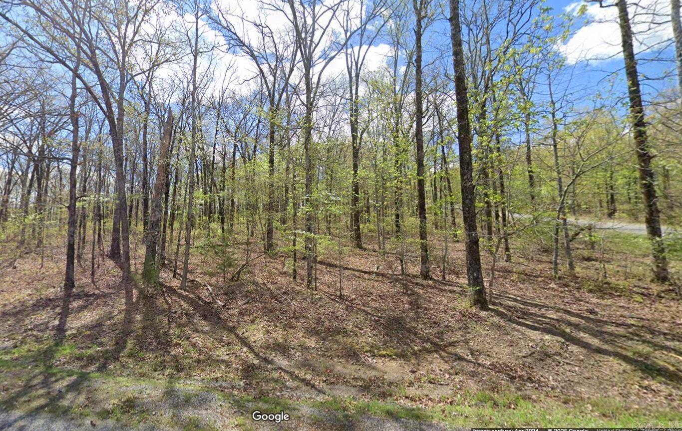 Lot 29 Pleasant Oaks Loop Property Photo 1