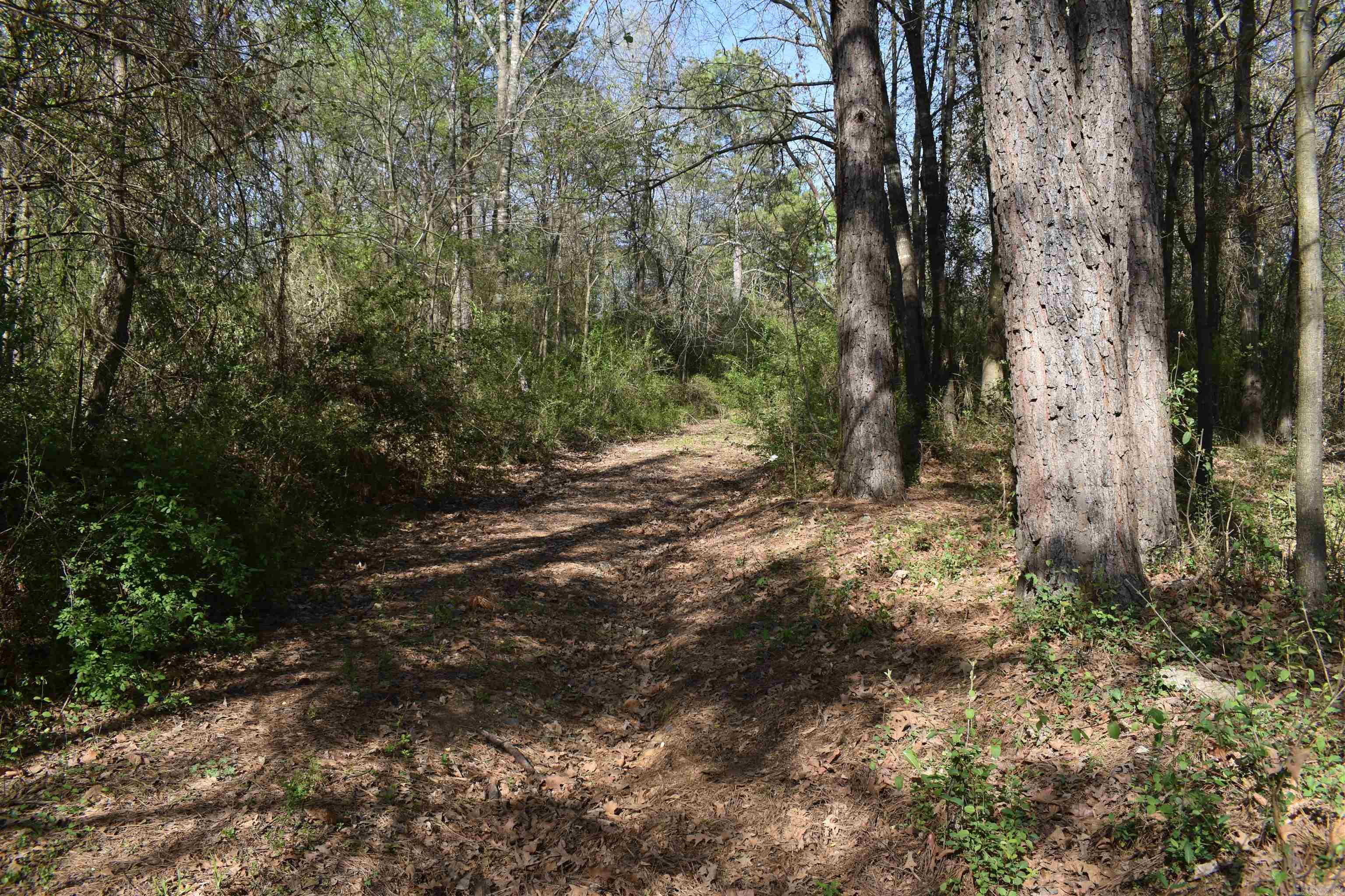 0000 Wilson Road Property Photo 14