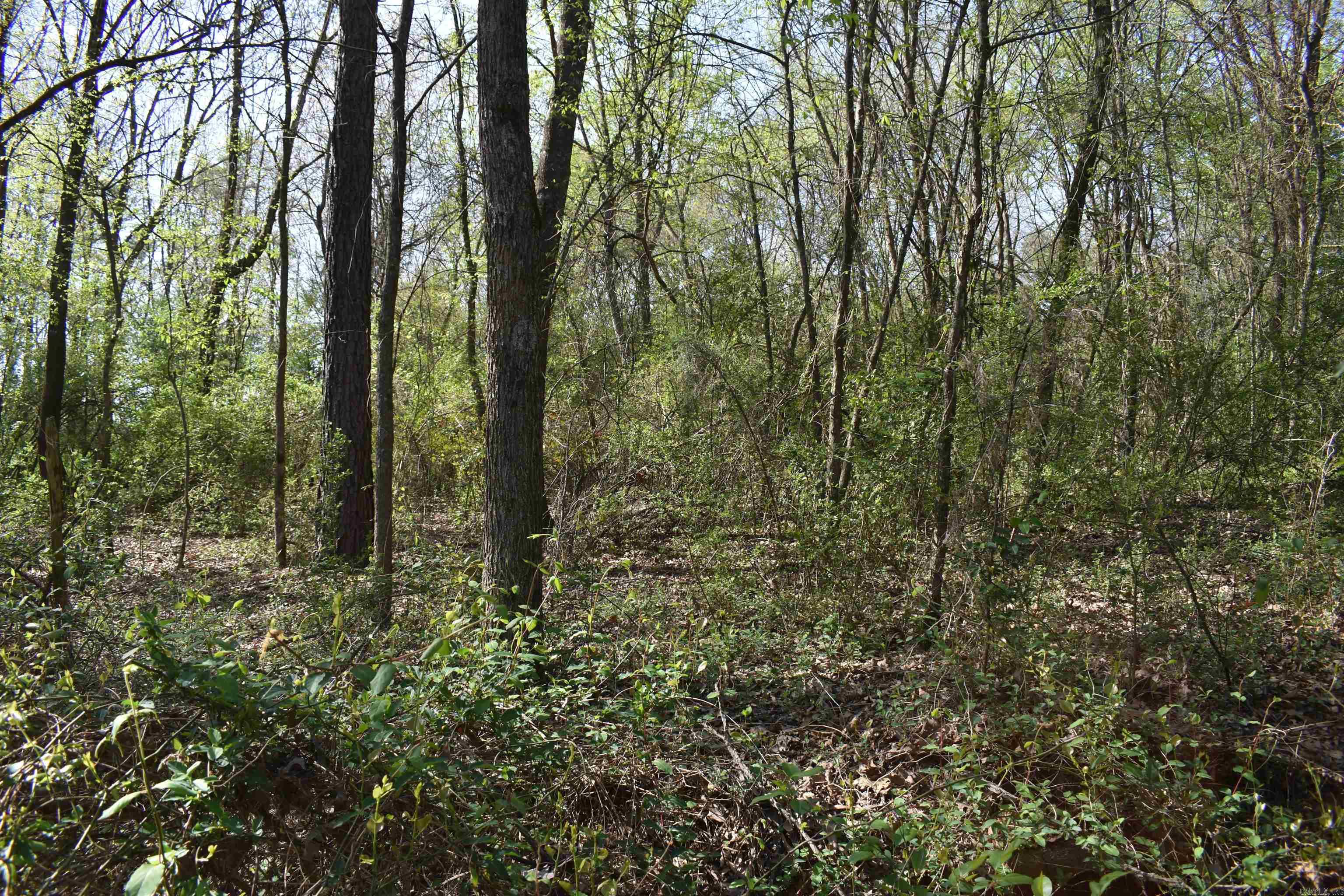 0000 Wilson Road Property Photo 15