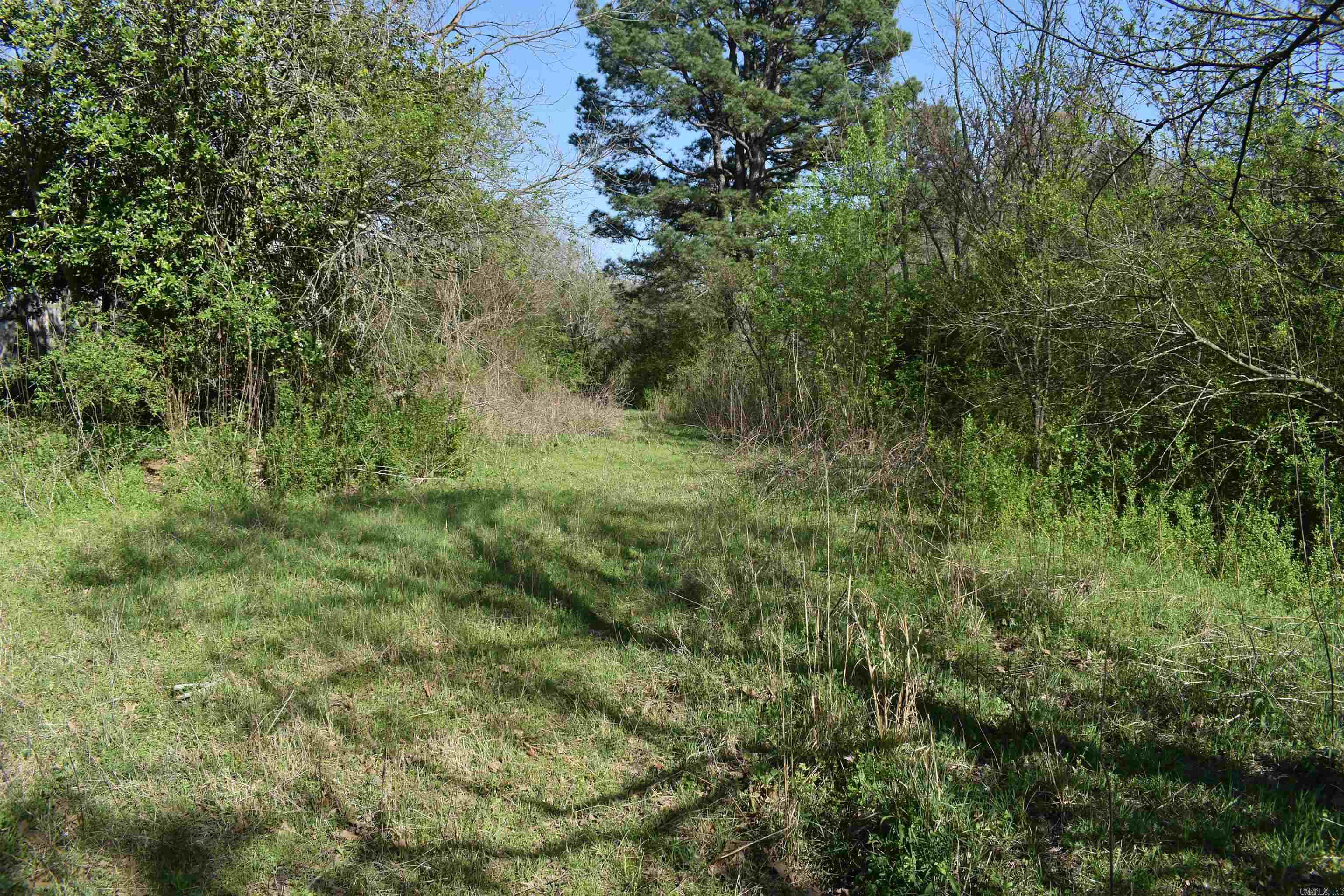 0000 Wilson Road Property Photo 16