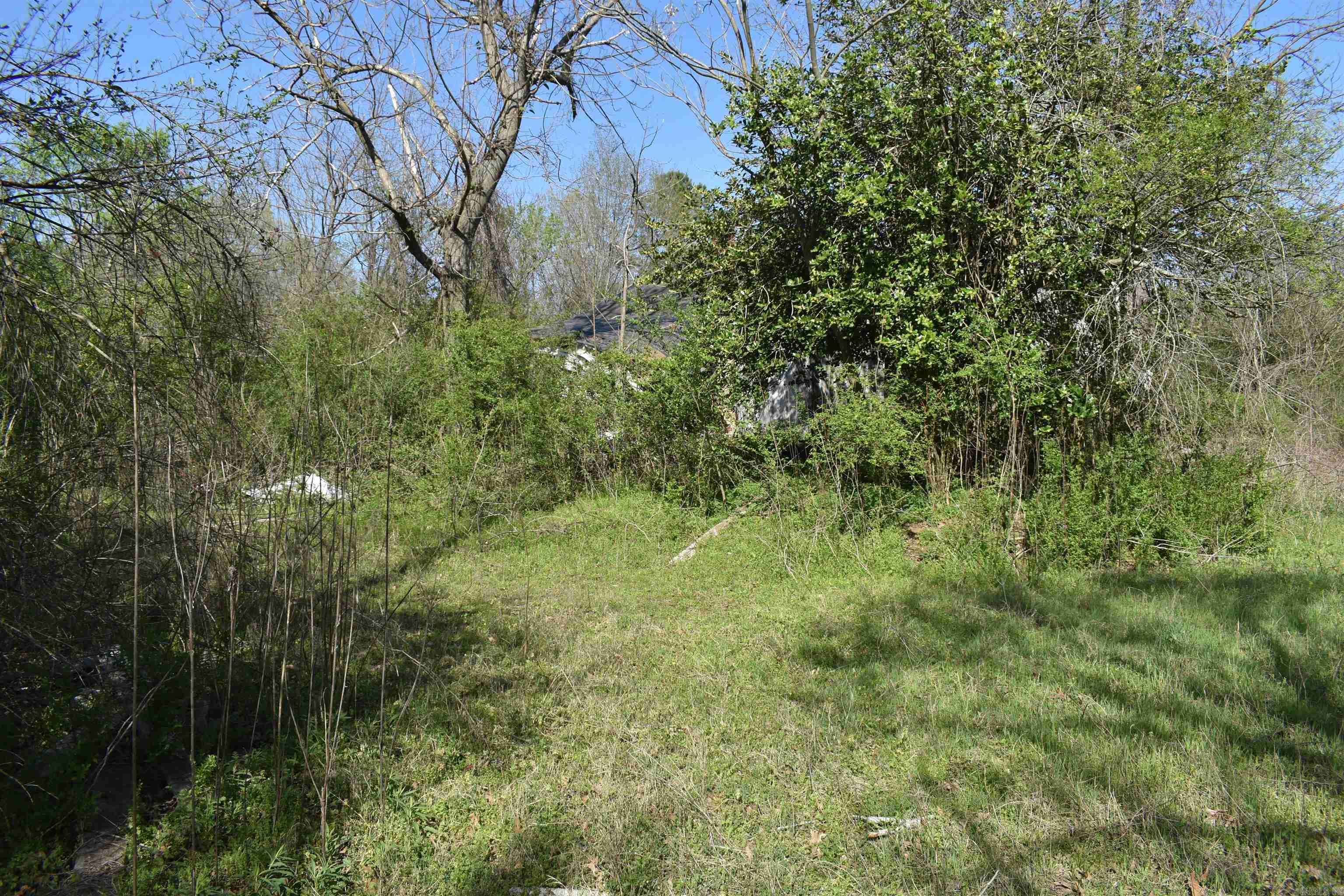 0000 Wilson Road Property Photo 17