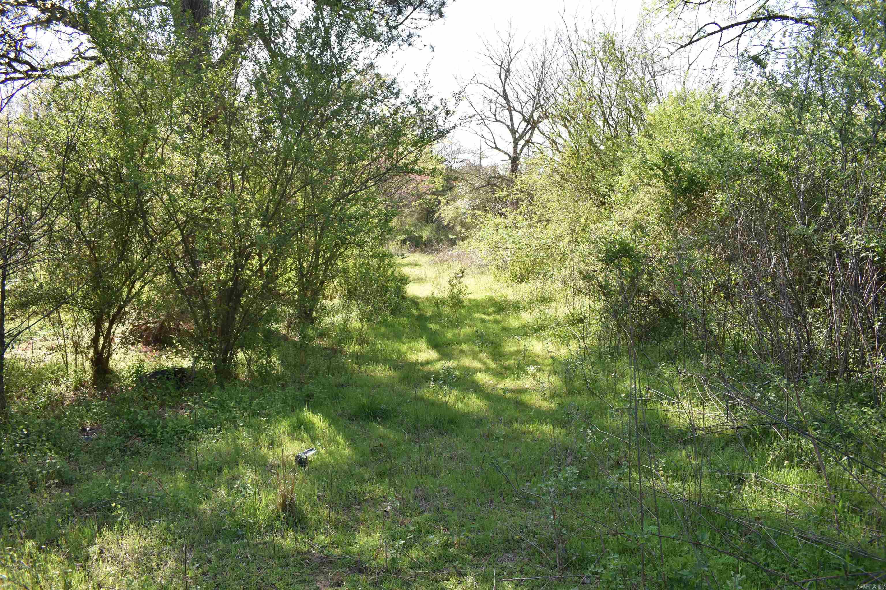 0000 Wilson Road Property Photo 20