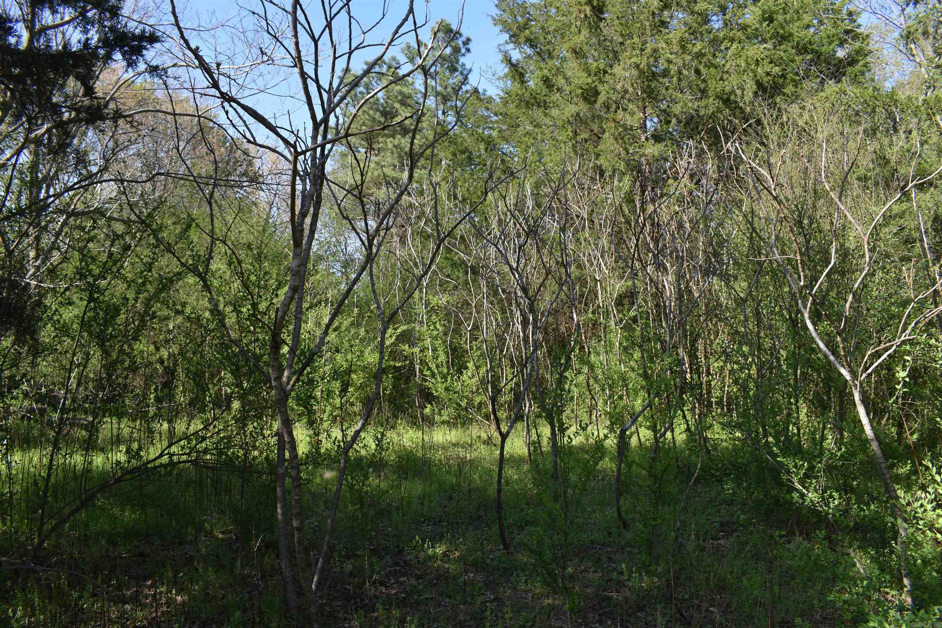 0000 Wilson Road Property Photo 21