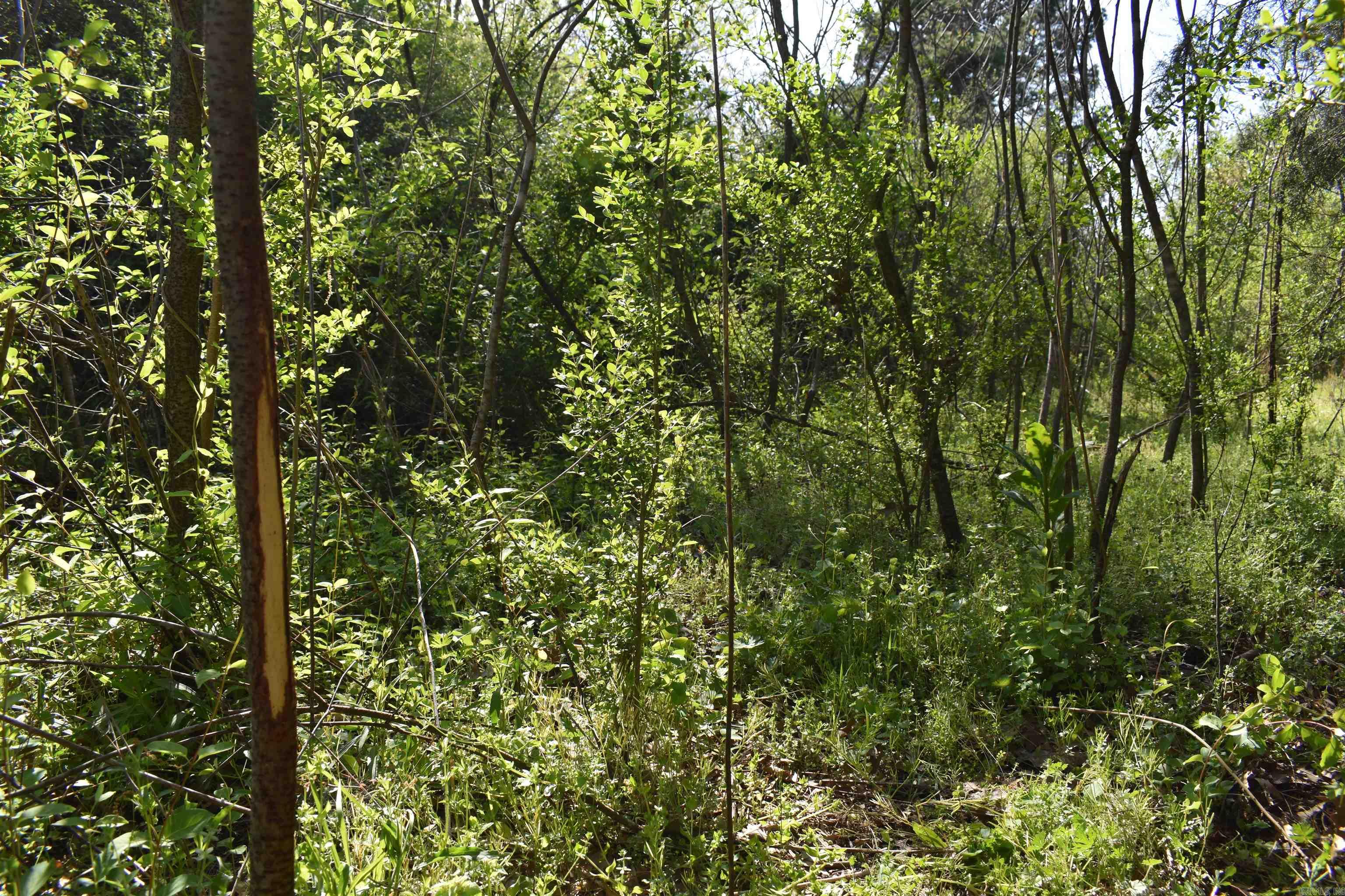 0000 Wilson Road Property Photo 22