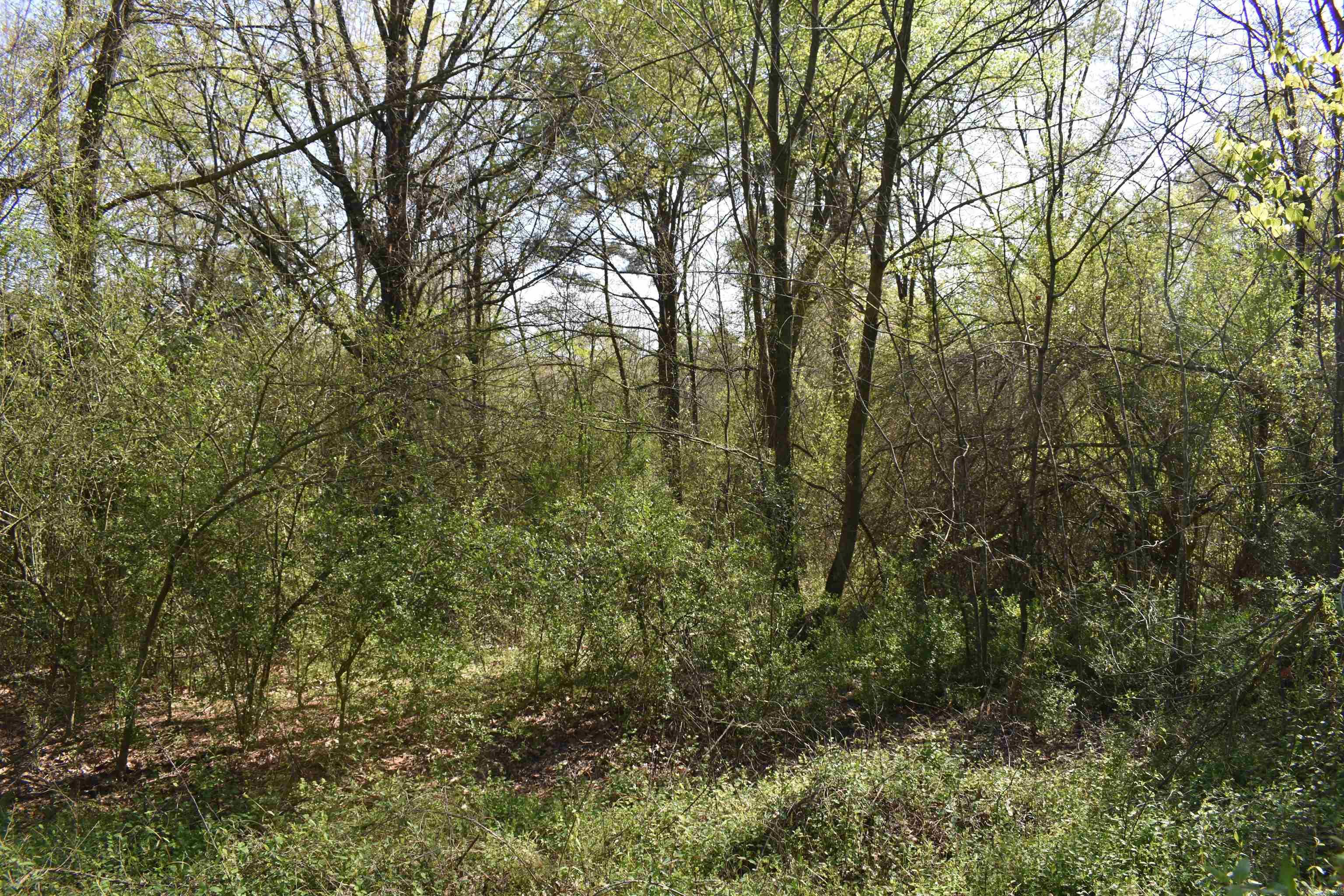 0000 Wilson Road Property Photo 23