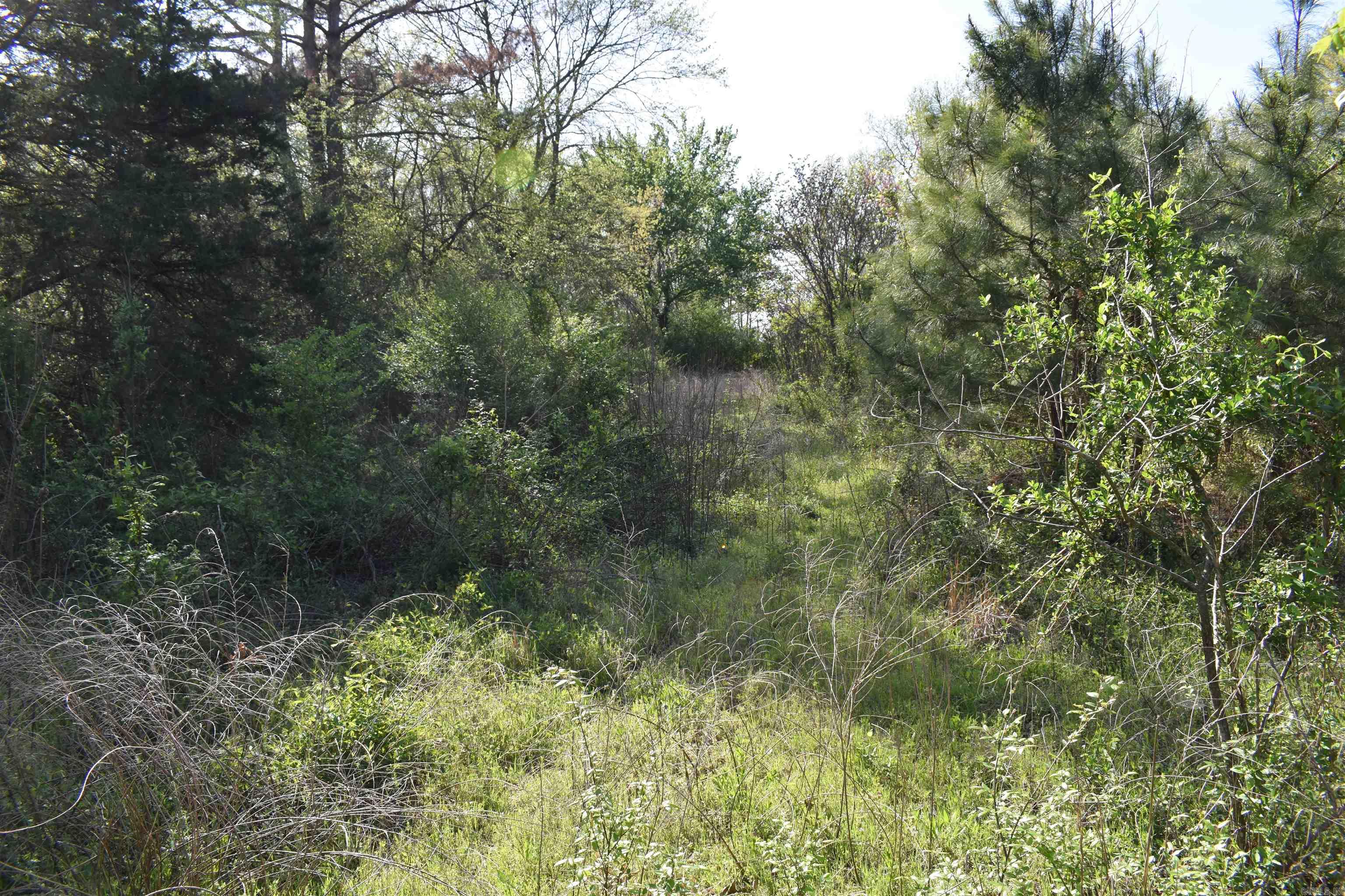 0000 Wilson Road Property Photo 24