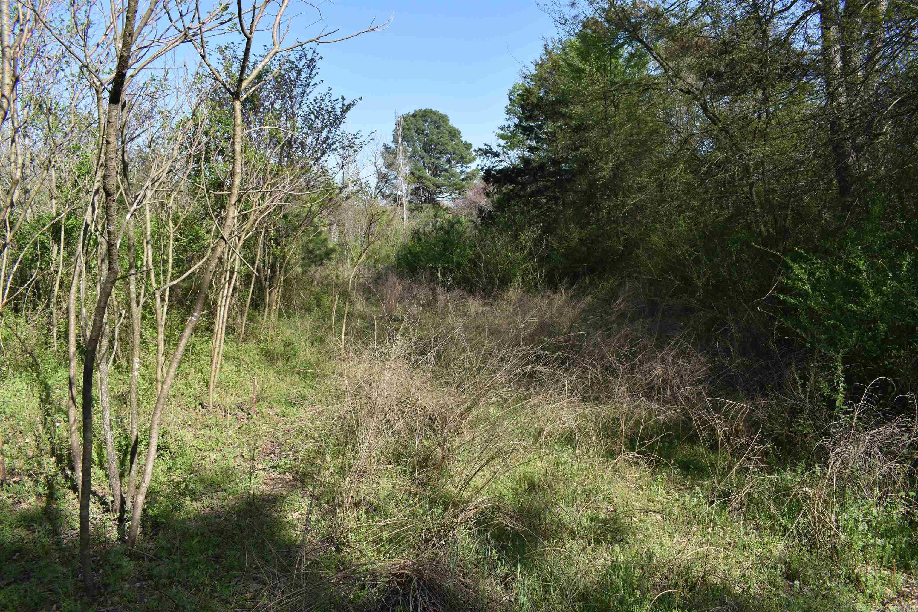 0000 Wilson Road Property Photo 25