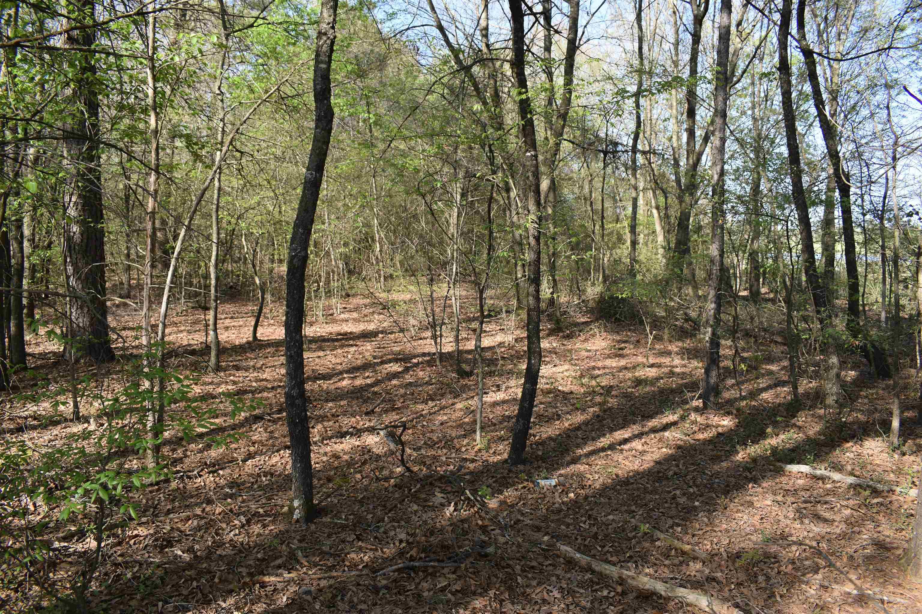 0000 Wilson Road Property Photo 29