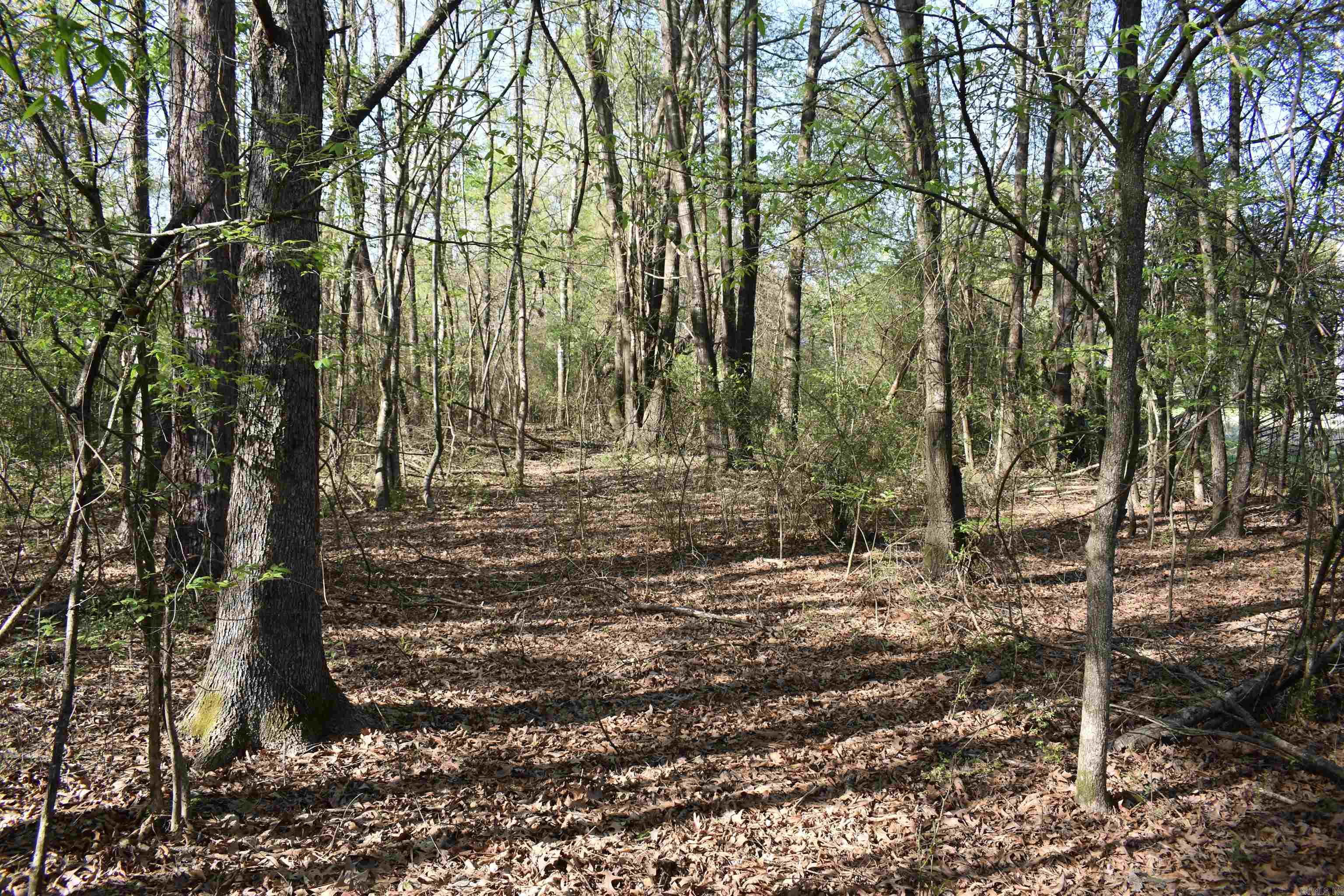 0000 Wilson Road Property Photo 31