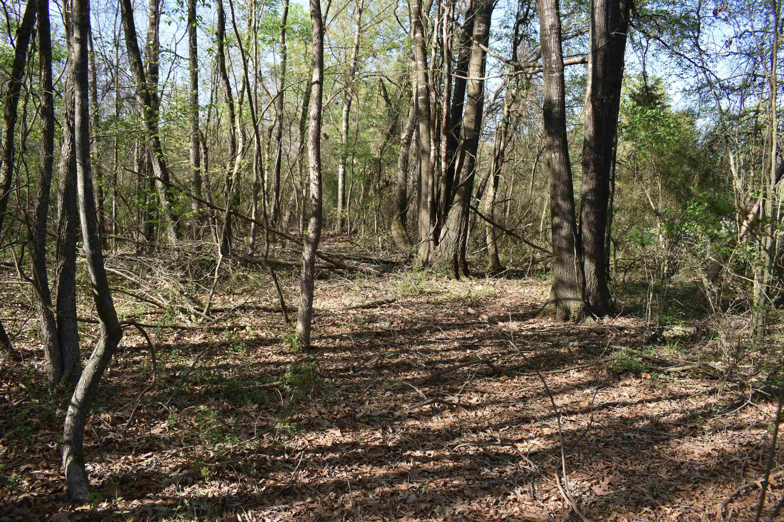 0000 Wilson Road Property Photo 33