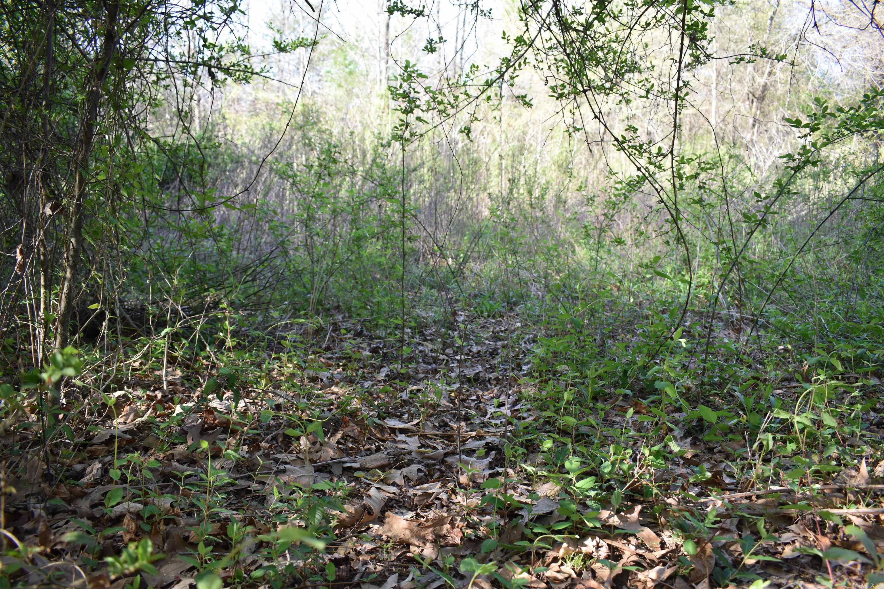 0000 Wilson Road Property Photo 34
