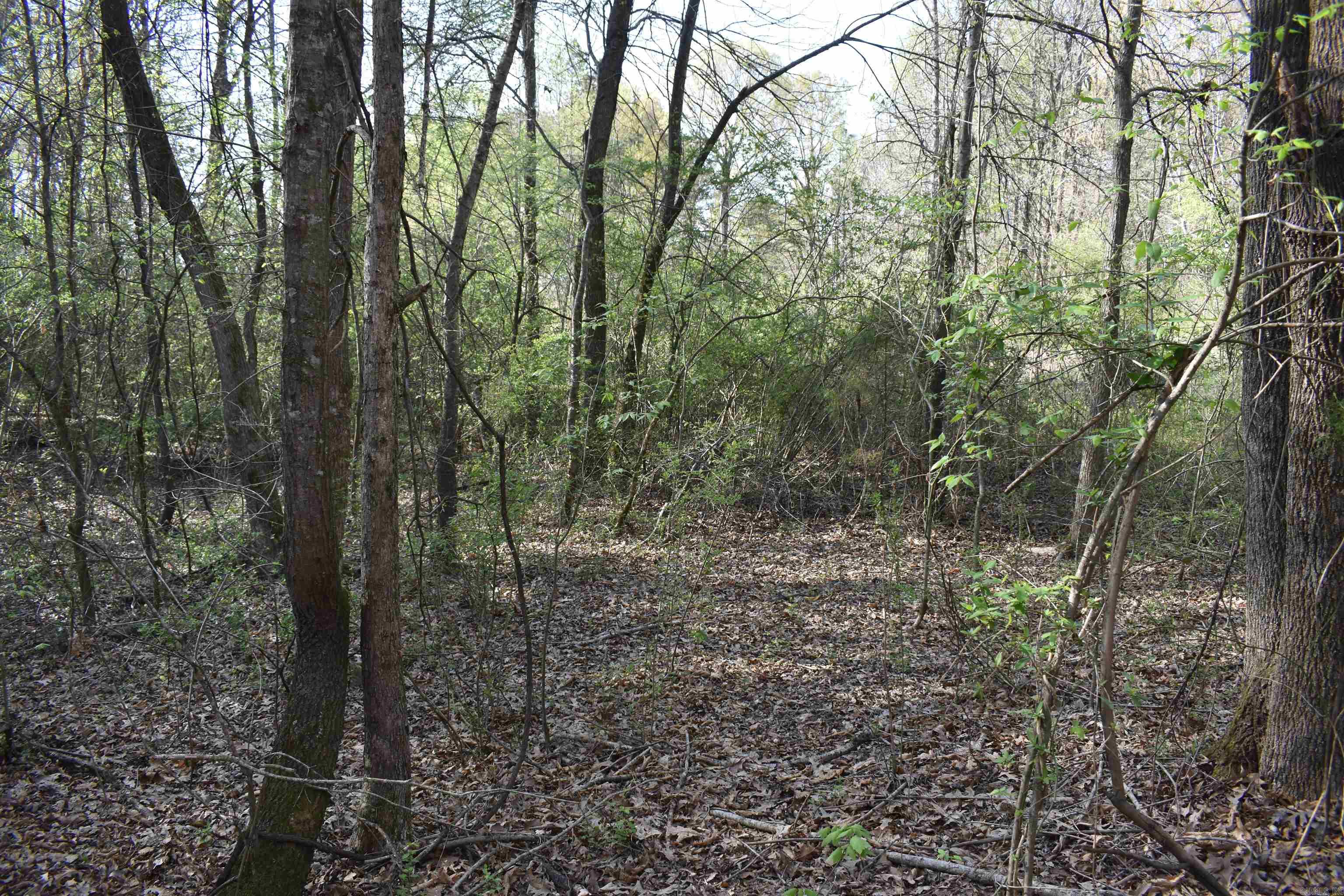 0000 Wilson Road Property Photo 35