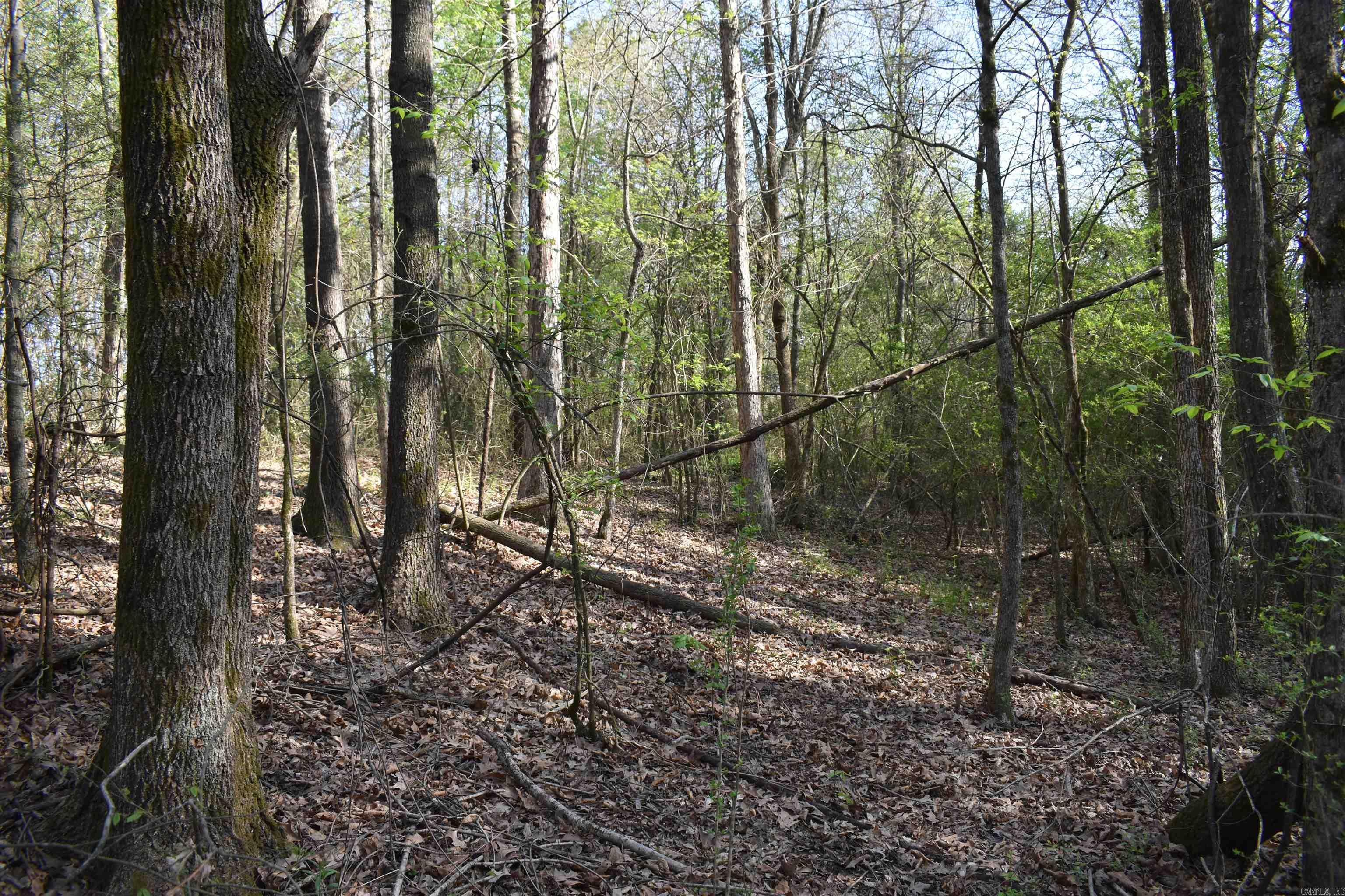 0000 Wilson Road Property Photo 36